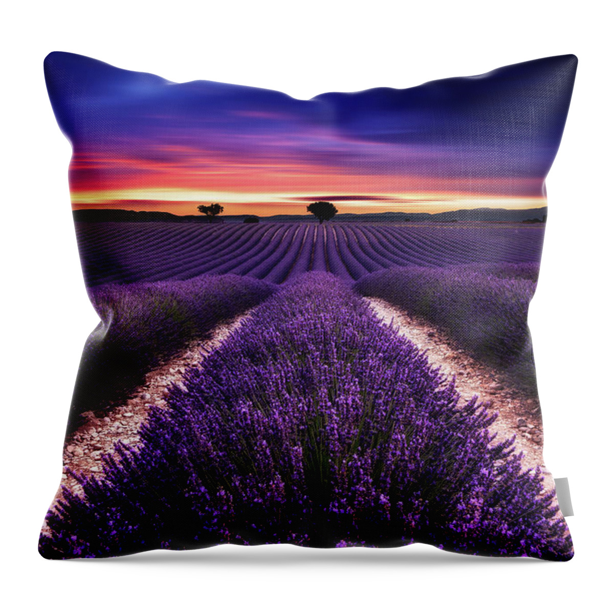 Landscape Throw Pillow featuring the photograph Final glory by Jorge Maia