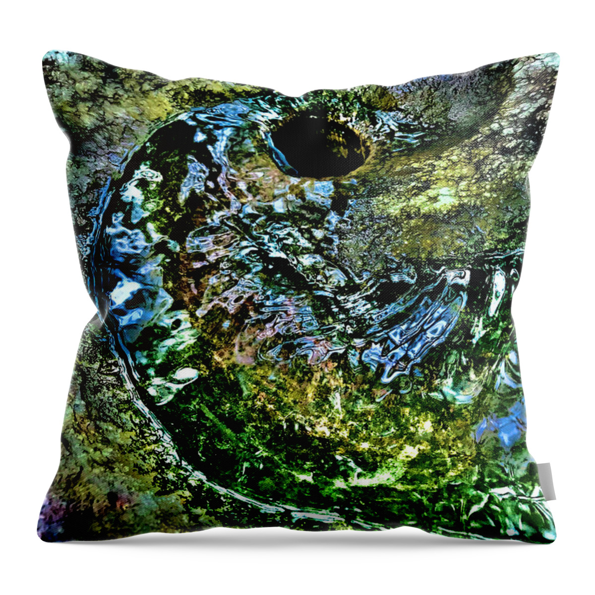 Water Throw Pillow featuring the photograph Finality by Tom Johnson