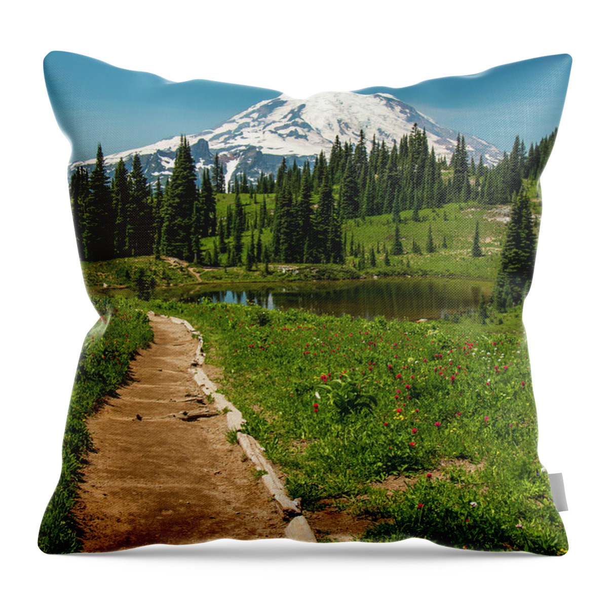 Mt Rainier National Park Throw Pillow featuring the photograph Finally Home by Doug Scrima