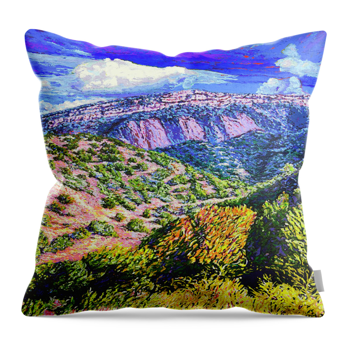 Impressionism Throw Pillow featuring the painting Finding My Way by Darien Bogart