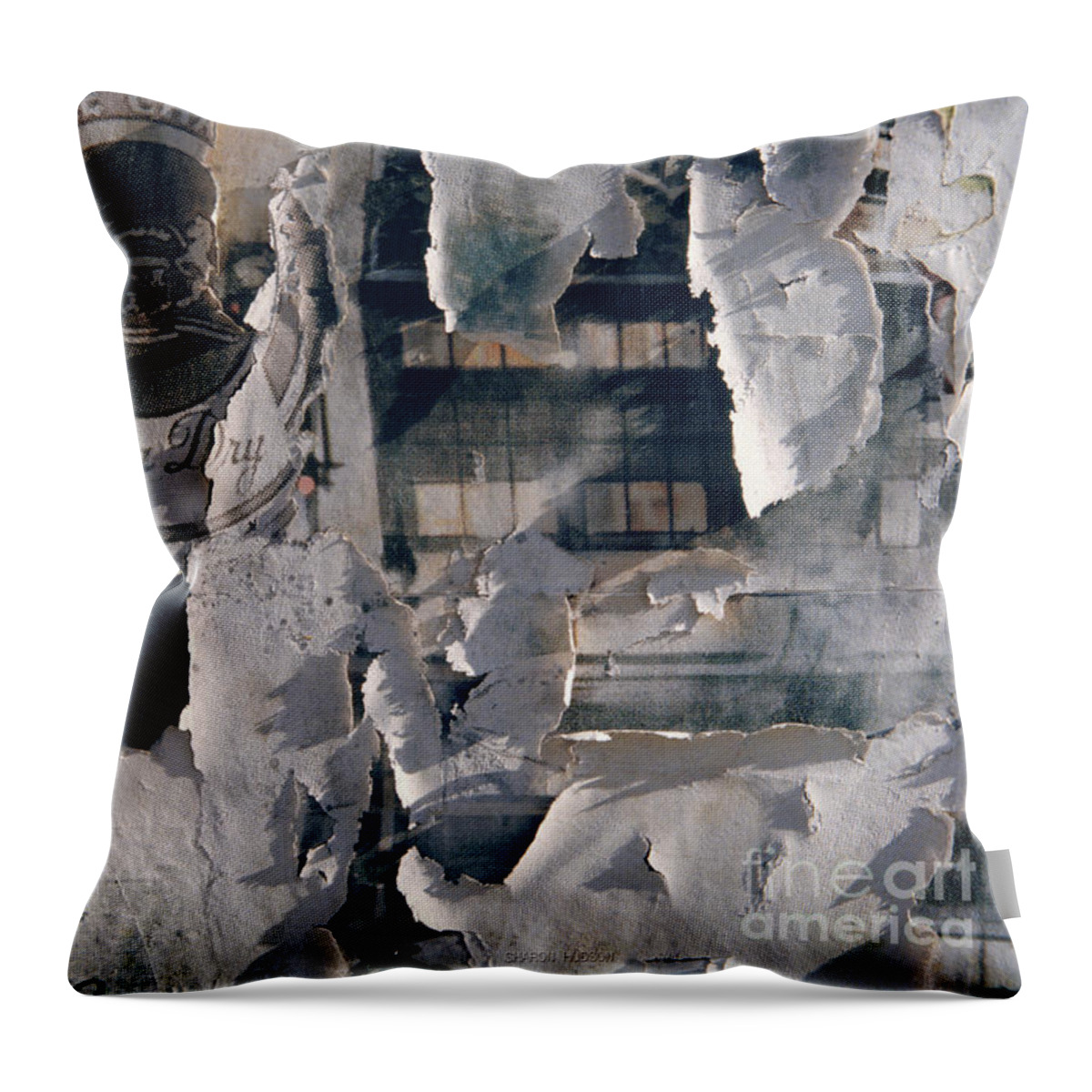 White Throw Pillow featuring the photograph fine art photography - Extra Dry by Sharon Hudson