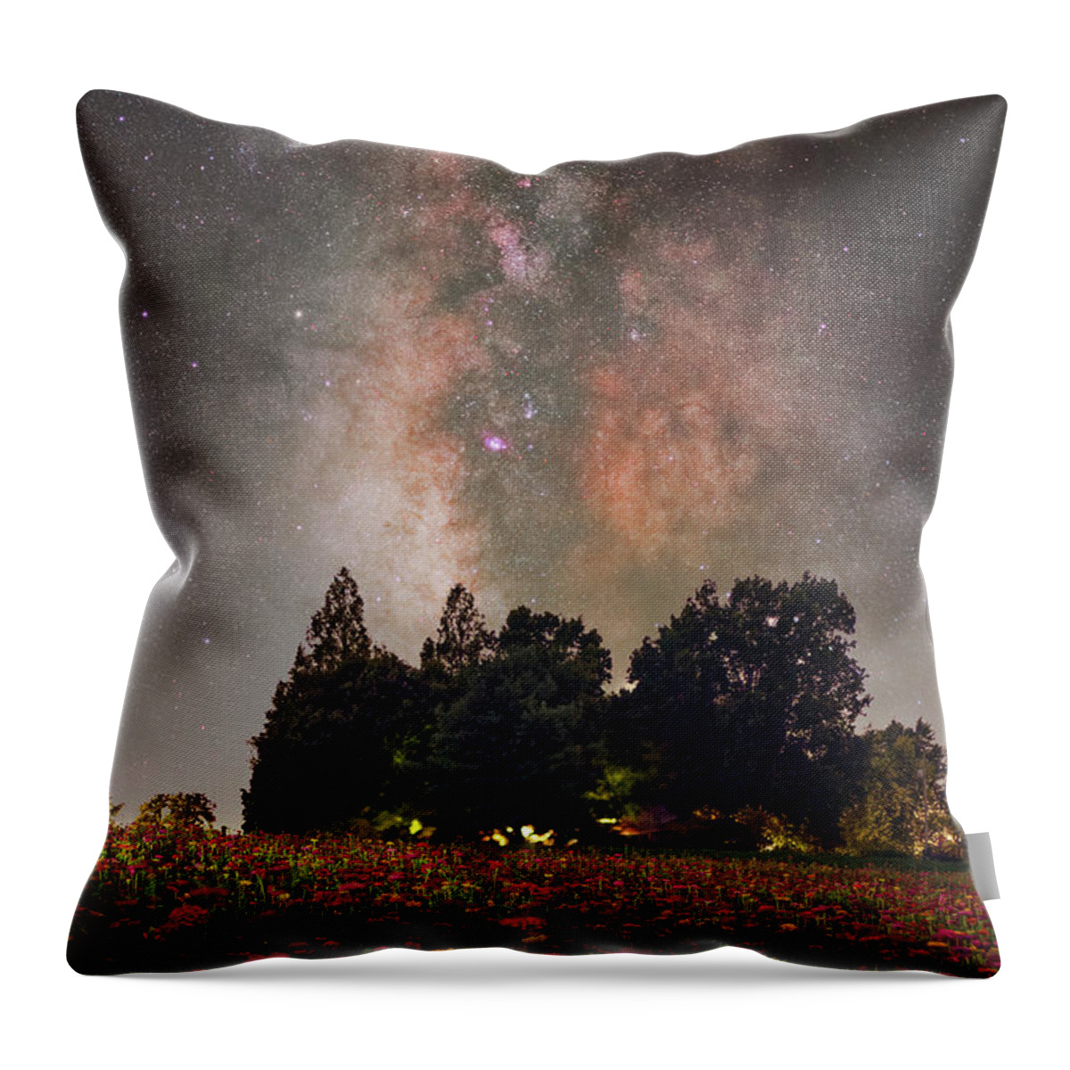 Nightscape Throw Pillow featuring the photograph Fire and Flowers by Grant Twiss