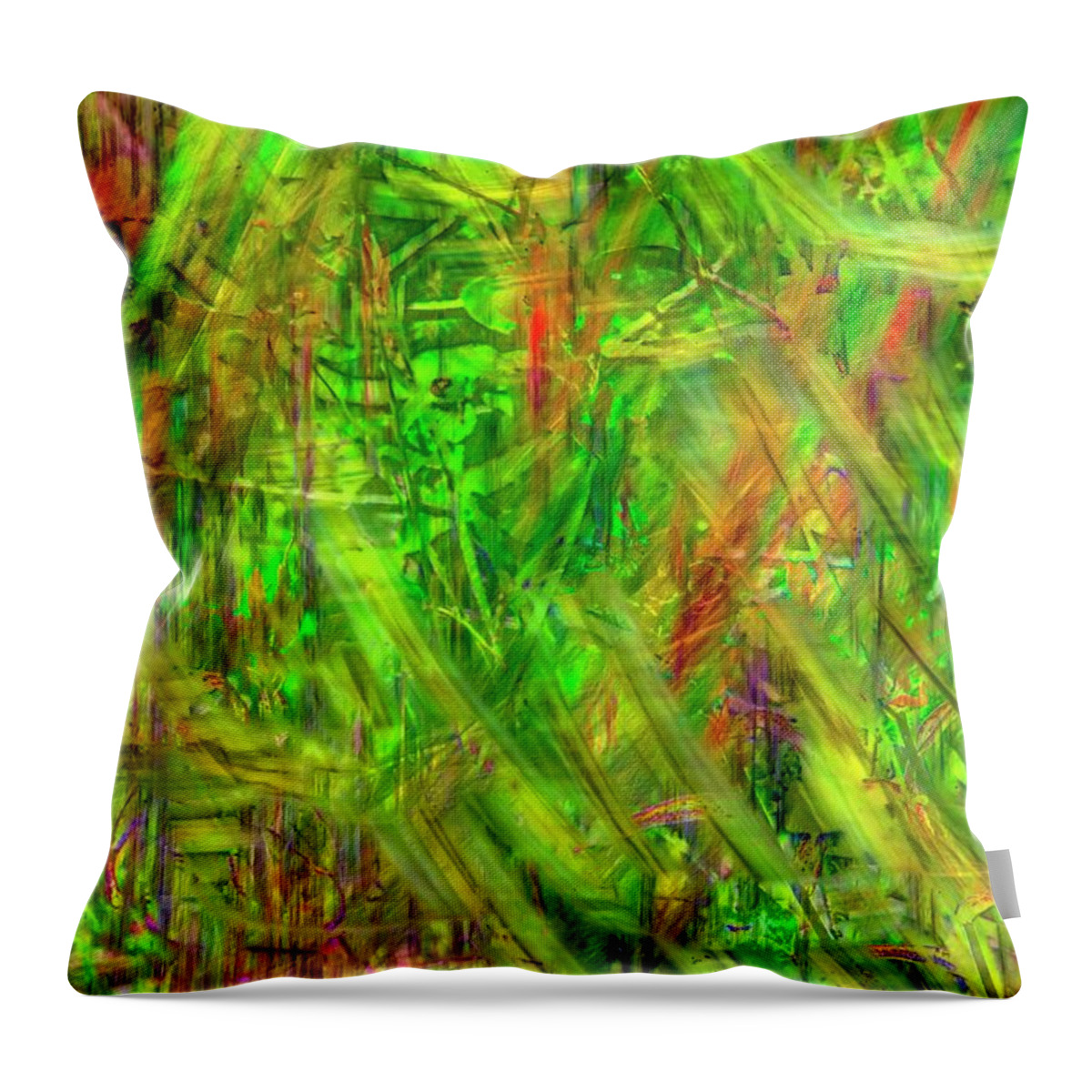 Fireweed Throw Pillow featuring the photograph Daisies and Fireweed - Abstract 6 by Kathy Paynter