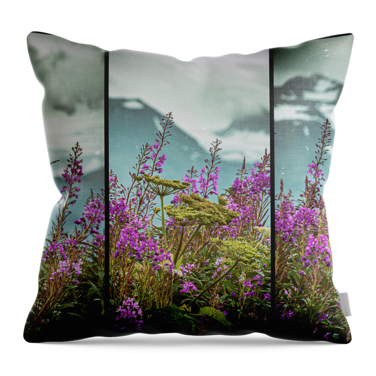 Fireweed Throw Pillow featuring the photograph Fireweeds by Jim Cook