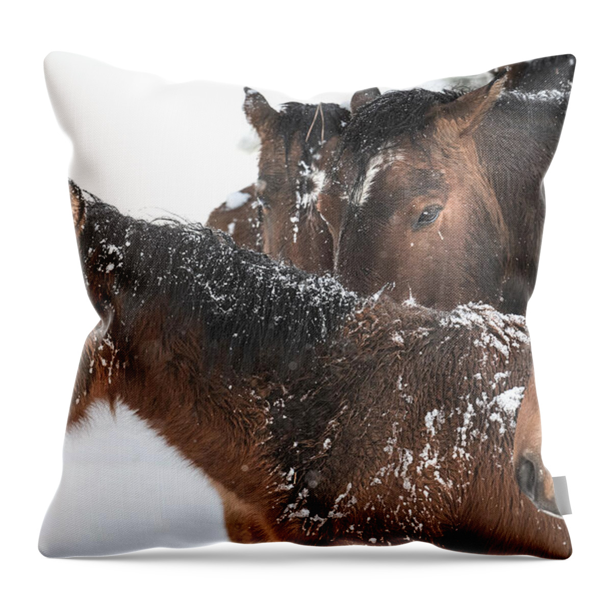 Stallion Throw Pillow featuring the photograph First Blizzard. by Paul Martin