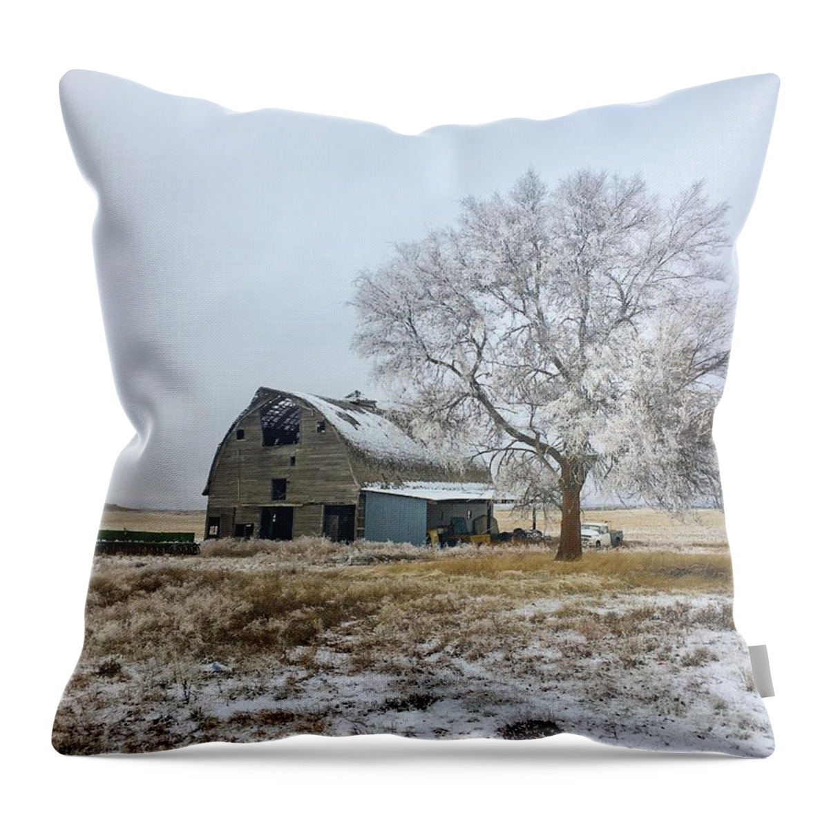Snow Throw Pillow featuring the photograph First Snow by Jerry Abbott