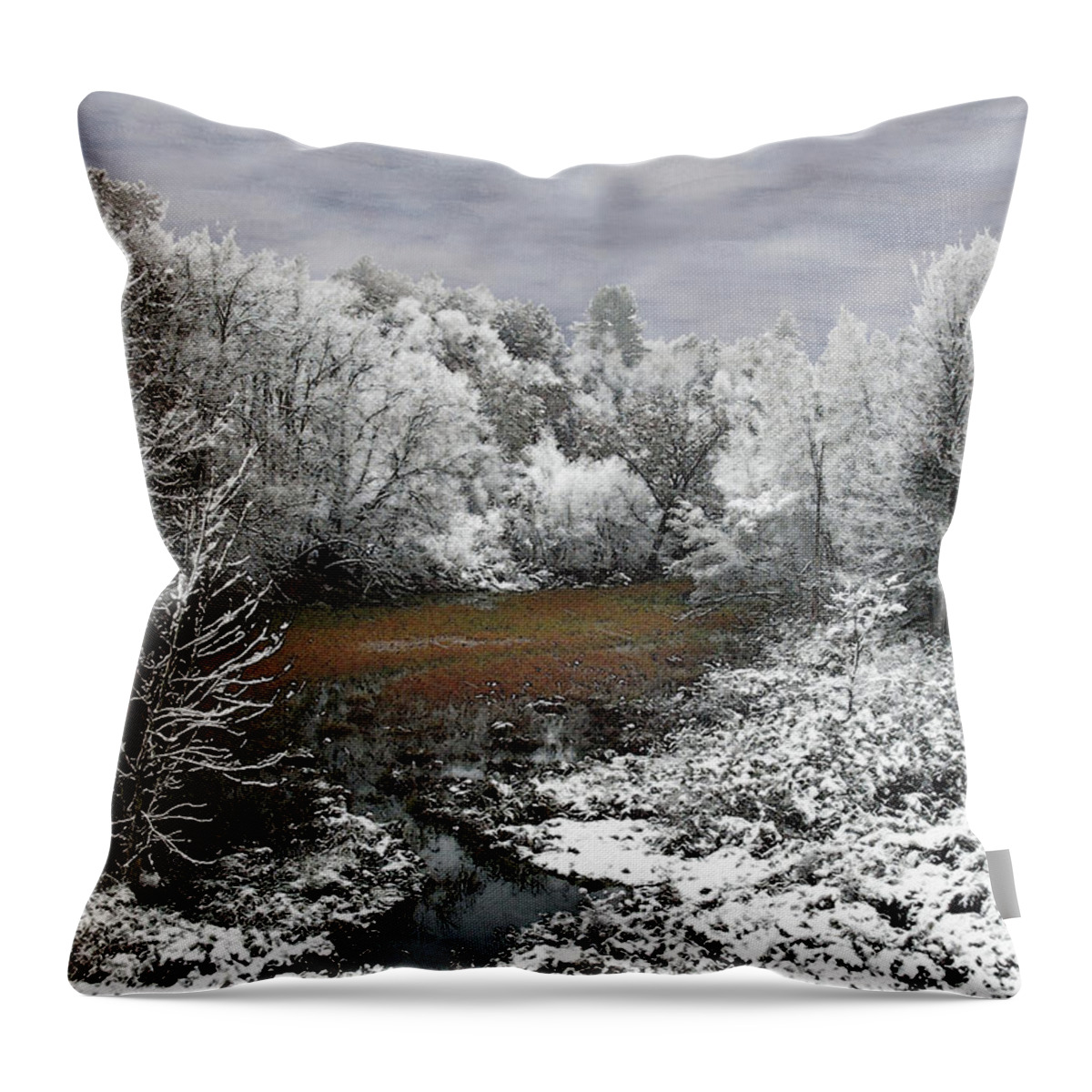 Oxbow Throw Pillow featuring the photograph First Snow on an Oxbow by Wayne King