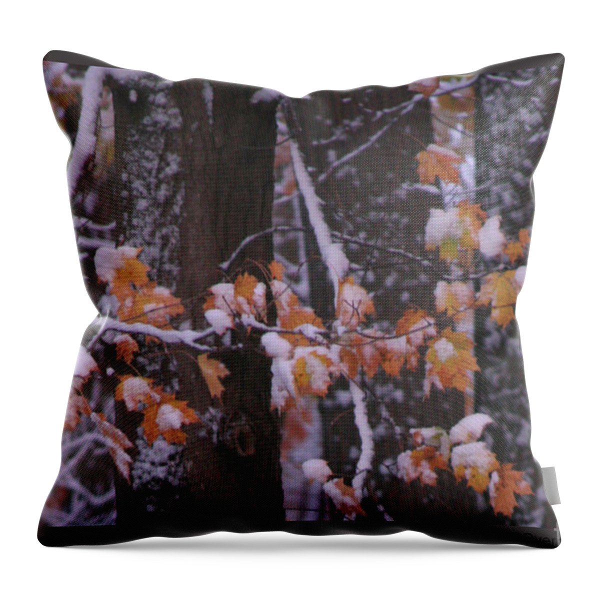 Snow Throw Pillow featuring the photograph First Snow by Patricia Overmoyer