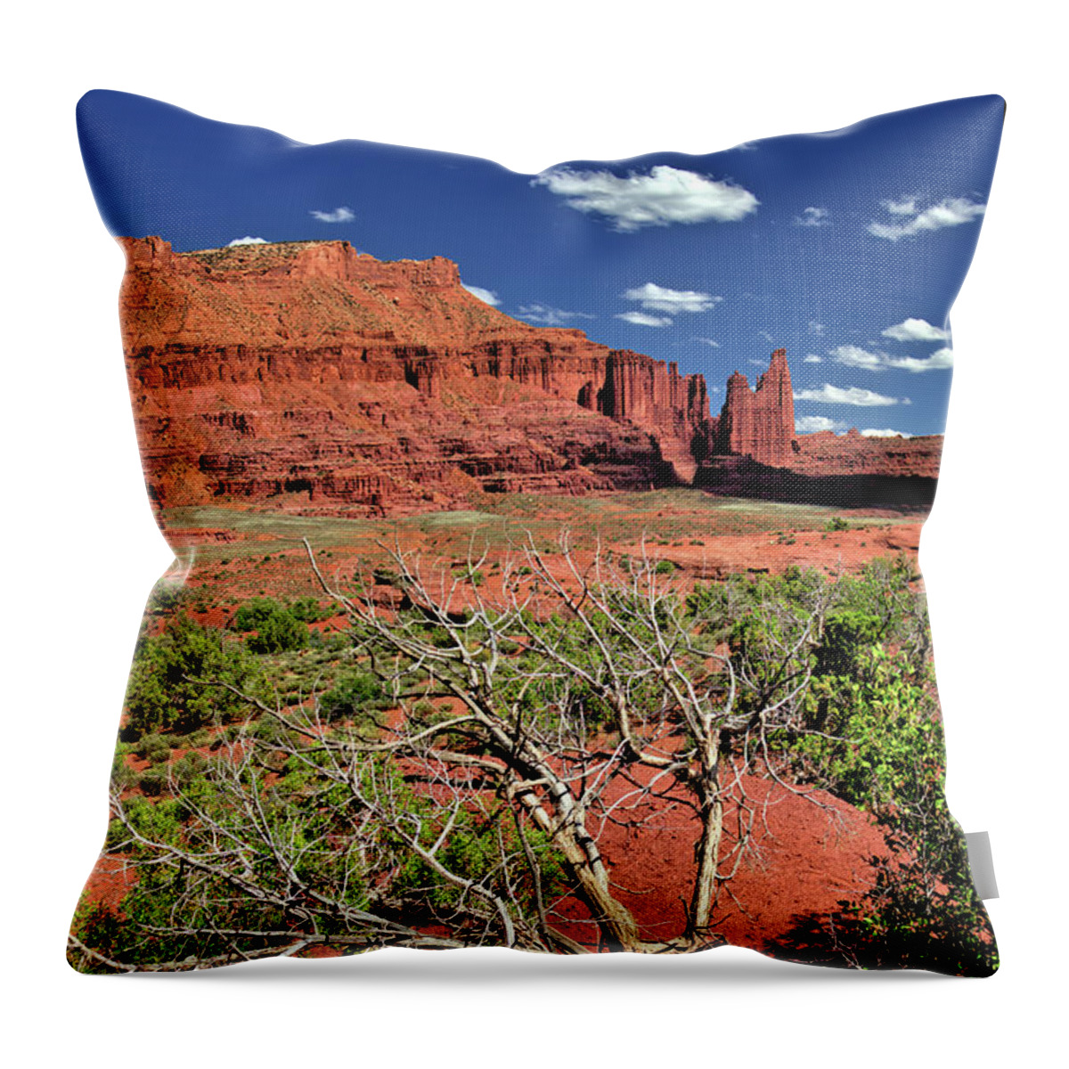 Utah Throw Pillow featuring the photograph Fishers Towers by Bob Falcone