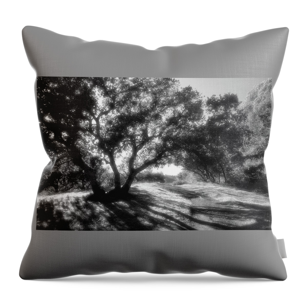 Five Points Throw Pillow featuring the photograph Five Points Fairfax by John Parulis