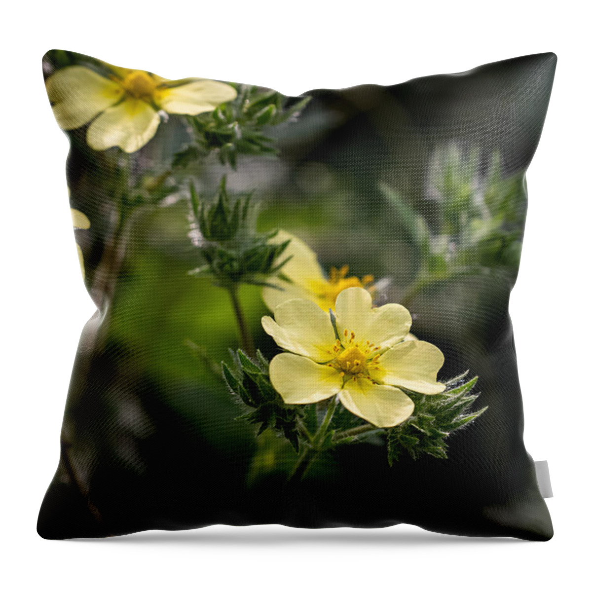 Flower Throw Pillow featuring the photograph Five Yellow Hearts by Linda Bonaccorsi