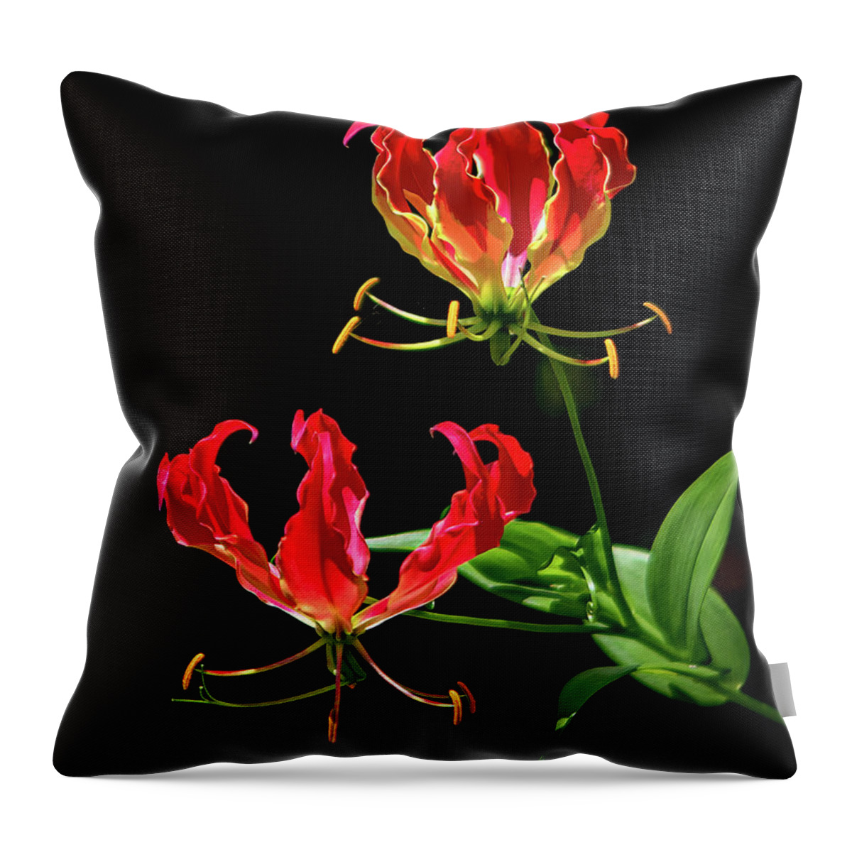 Gloriosa Throw Pillow featuring the photograph Flame Lily by Karen Sirnick