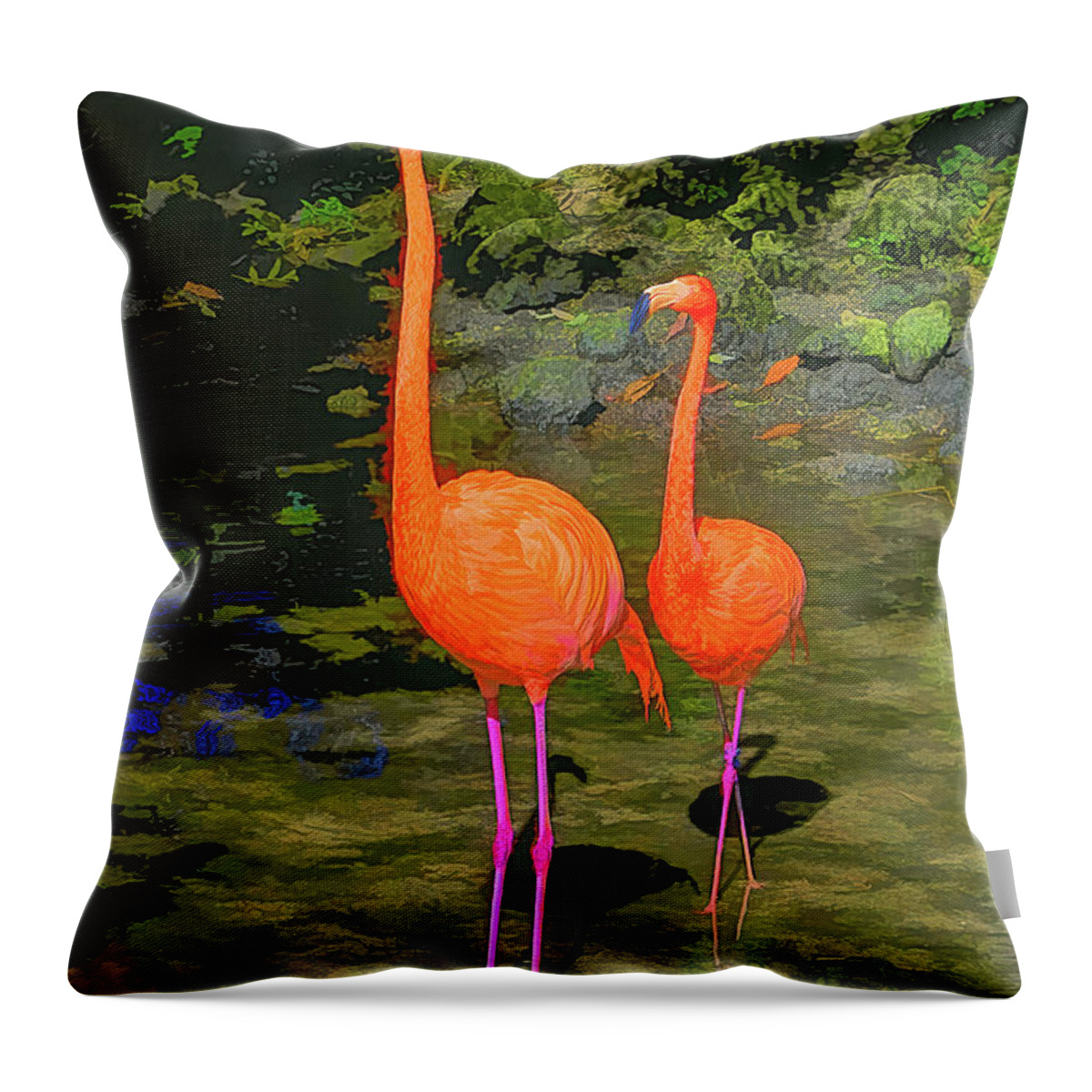 Flamingo Throw Pillow featuring the photograph Flamingo by Alison Belsan Horton