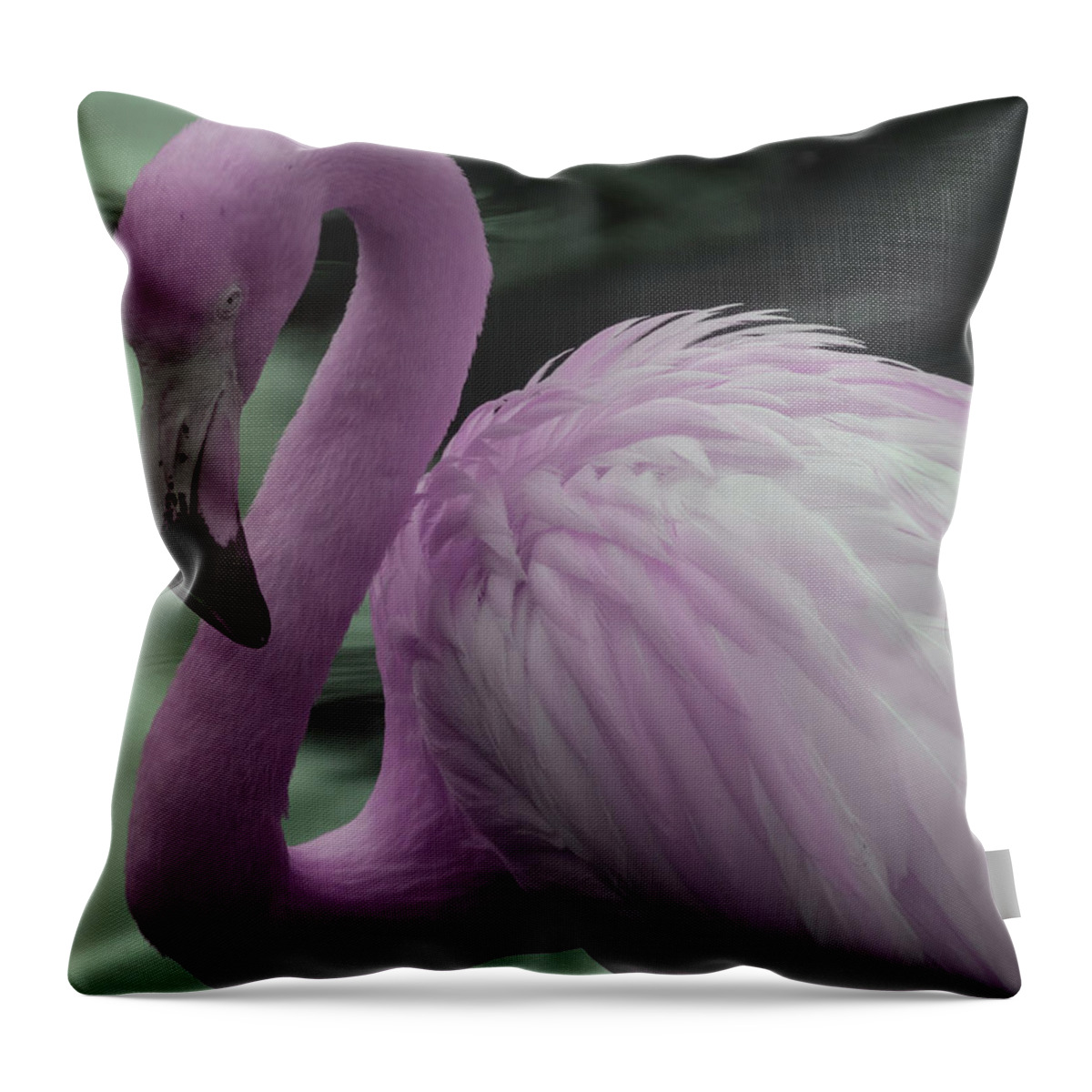 Flamingo Throw Pillow featuring the photograph Flamingo in Infrared by Carolyn Hutchins