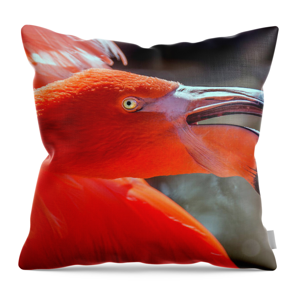Flamingo Throw Pillow featuring the photograph Pink Flamingo by WAZgriffin Digital