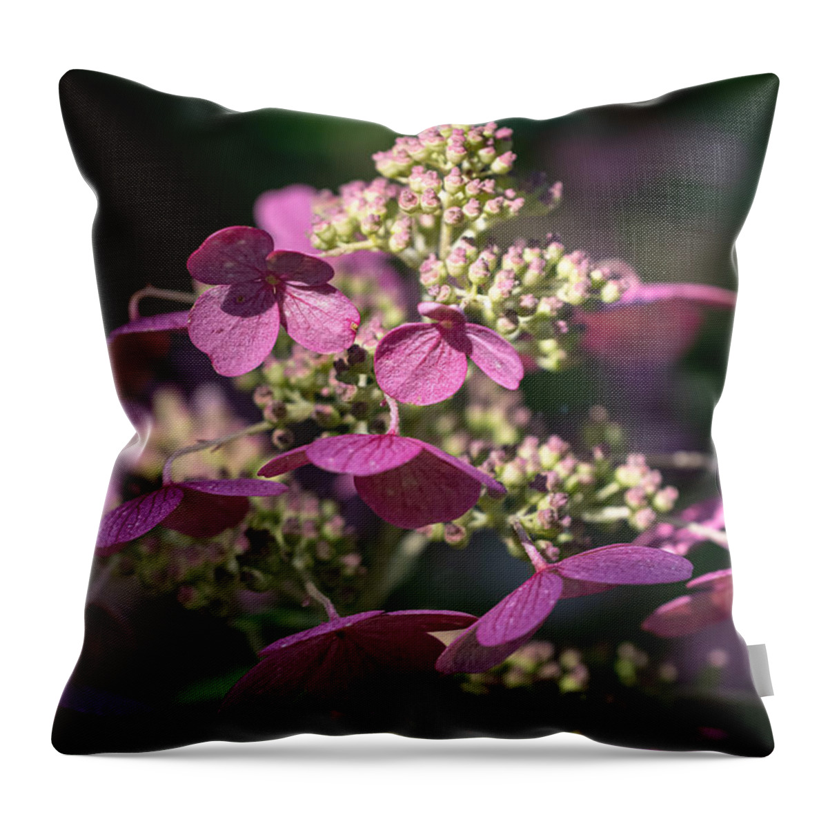 Flower Throw Pillow featuring the photograph Flare for the Dramatic by Linda Bonaccorsi