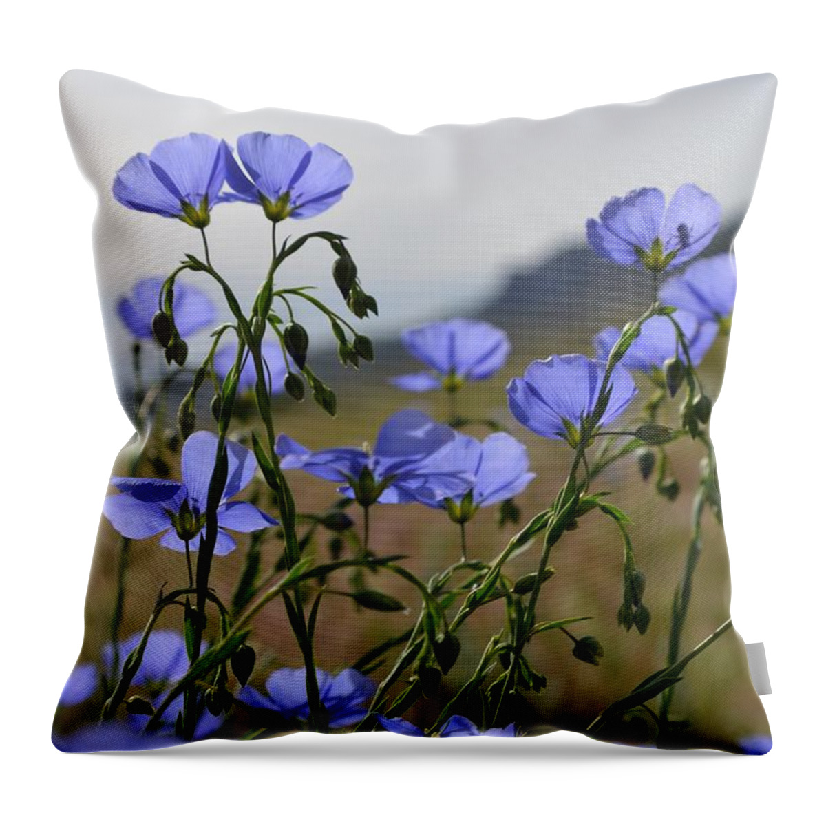 Wildflower Throw Pillow featuring the photograph Flax by Alden White Ballard