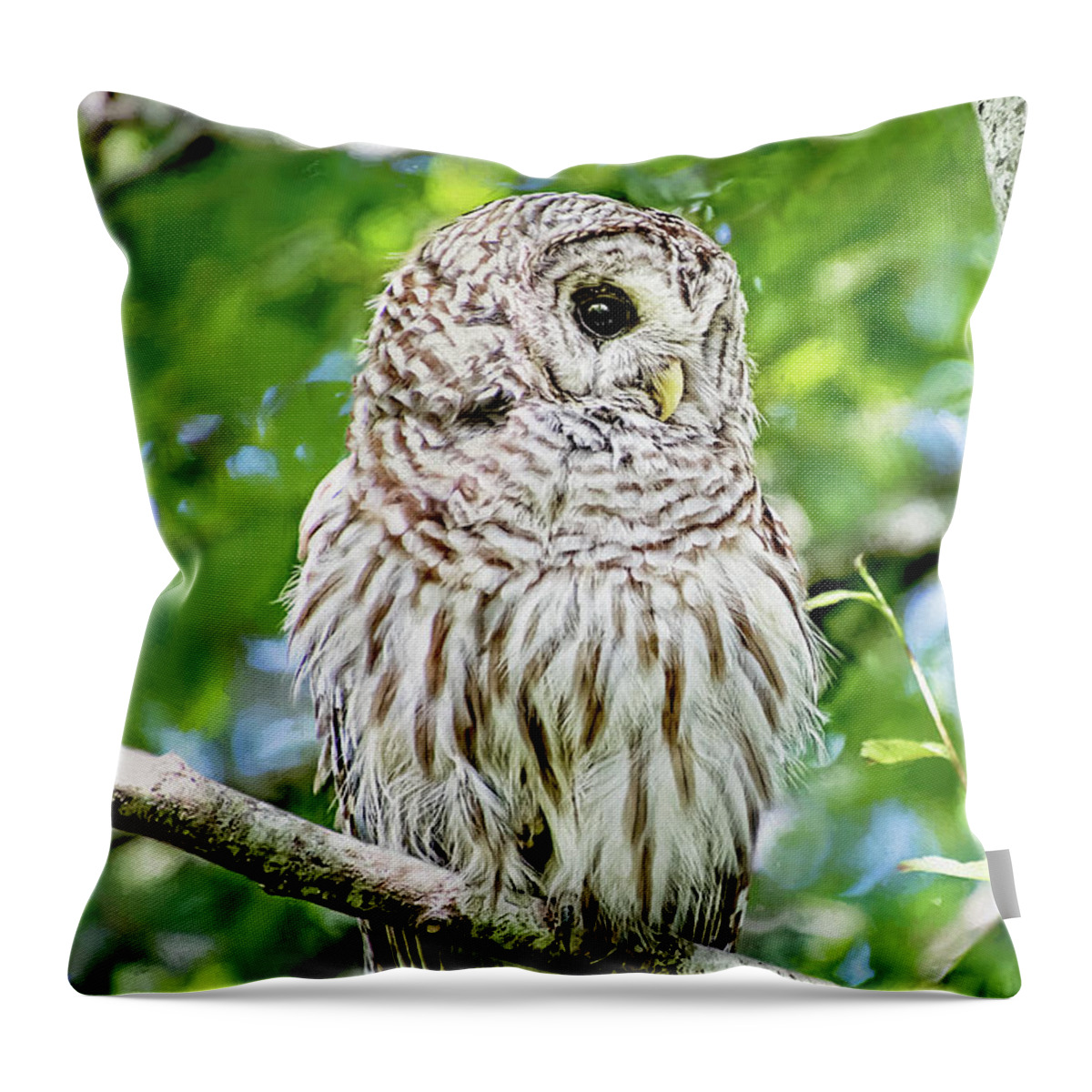 Owl Throw Pillow featuring the photograph Fledgling Hoot Owl by Peggy Collins