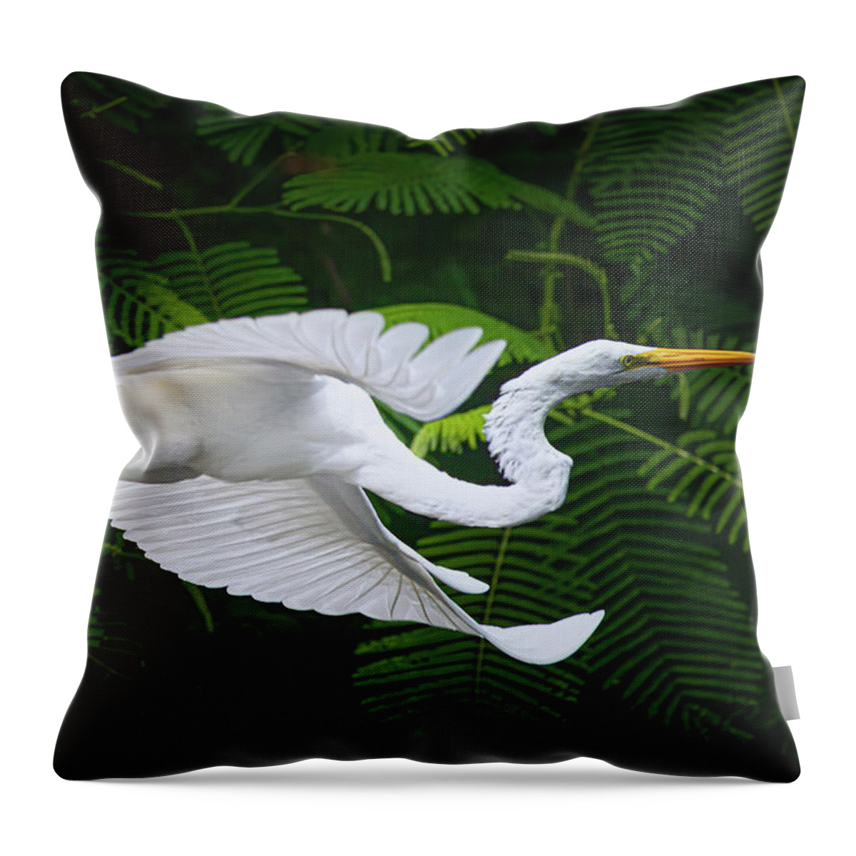 Great White Egret Throw Pillow featuring the photograph Flight of Grace by Mark Andrew Thomas