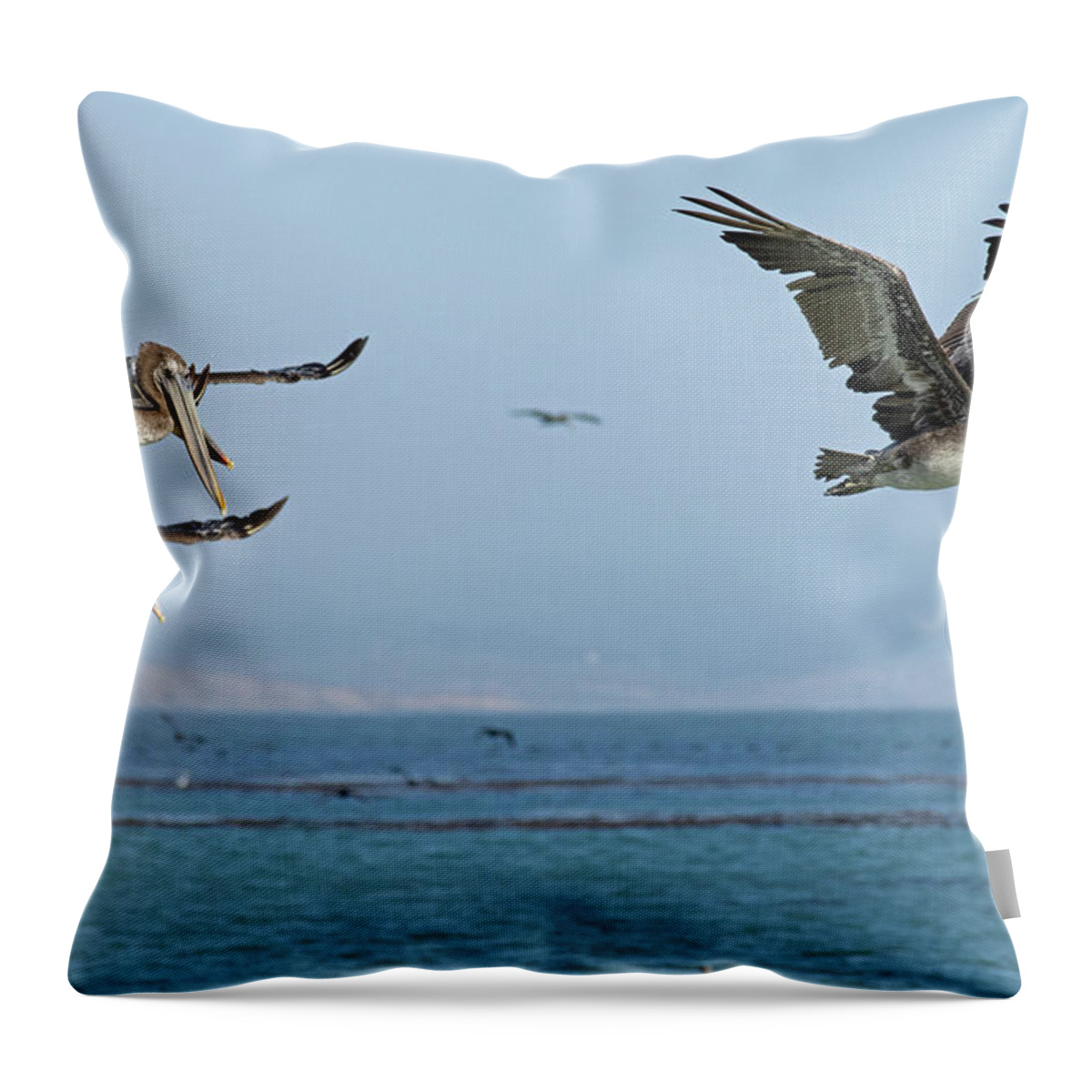 Pelican Throw Pillow featuring the photograph Flight of the Pelicans by Sue Cullumber