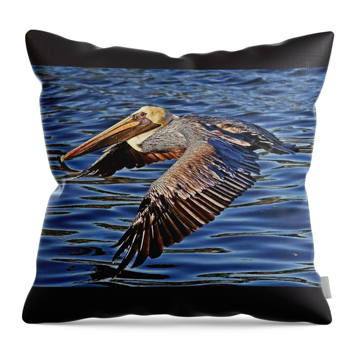Diving Birds Throw Pillow featuring the photograph Flight School by HH Photography of Florida