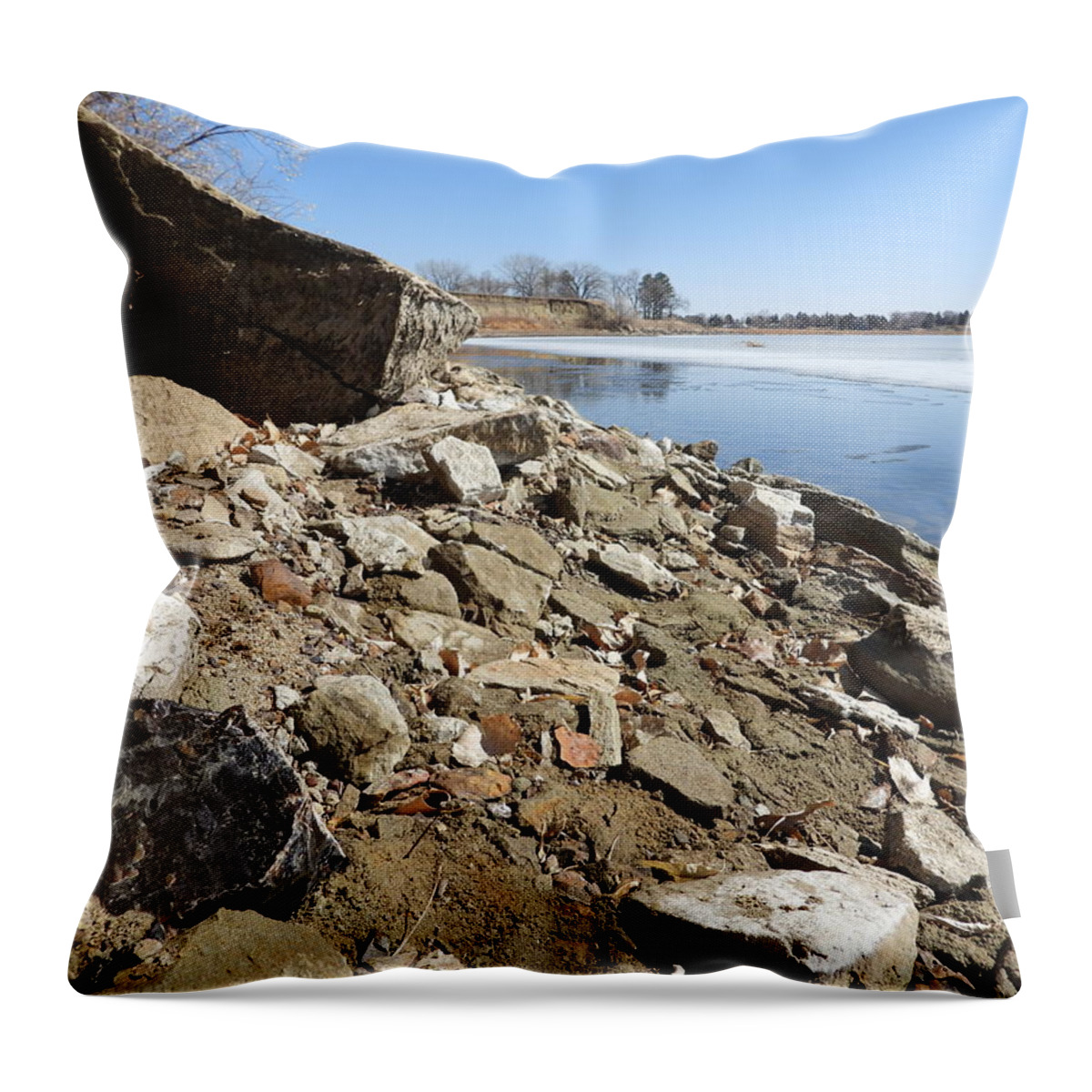 Flint Throw Pillow featuring the photograph Flint on Patterson Shore by Amanda R Wright