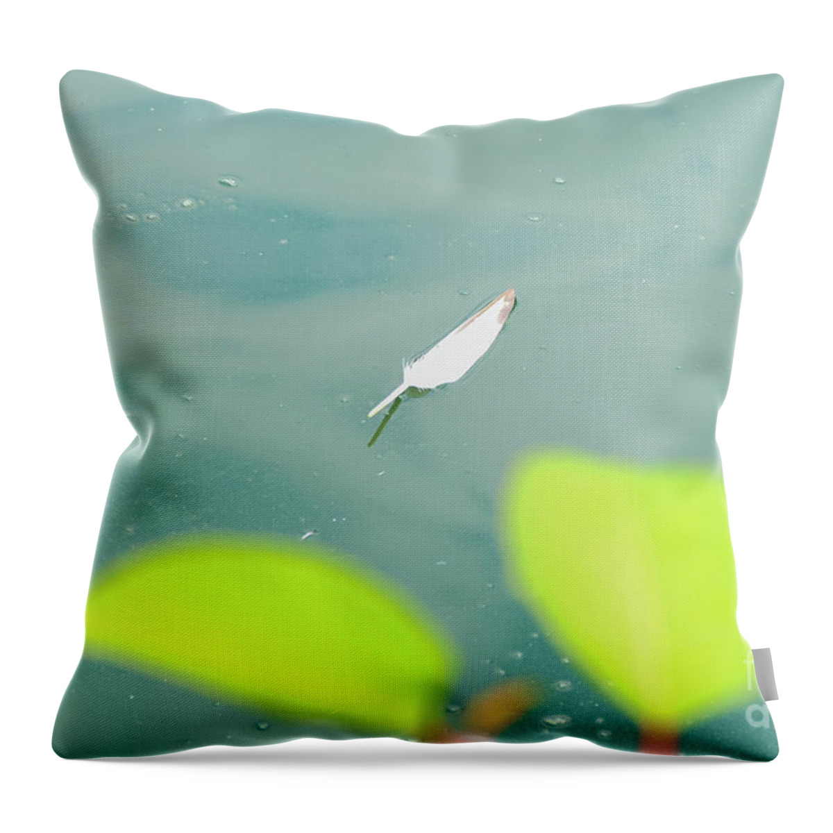 Feather Throw Pillow featuring the photograph Floating feather by Bentley Davis