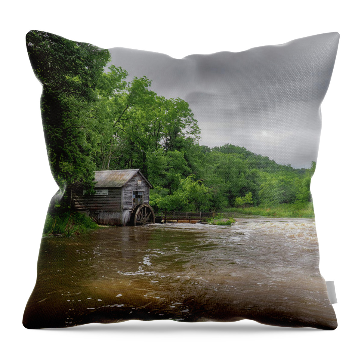 Old Throw Pillow featuring the photograph Flooded Hydes Mill by Scott Olsen