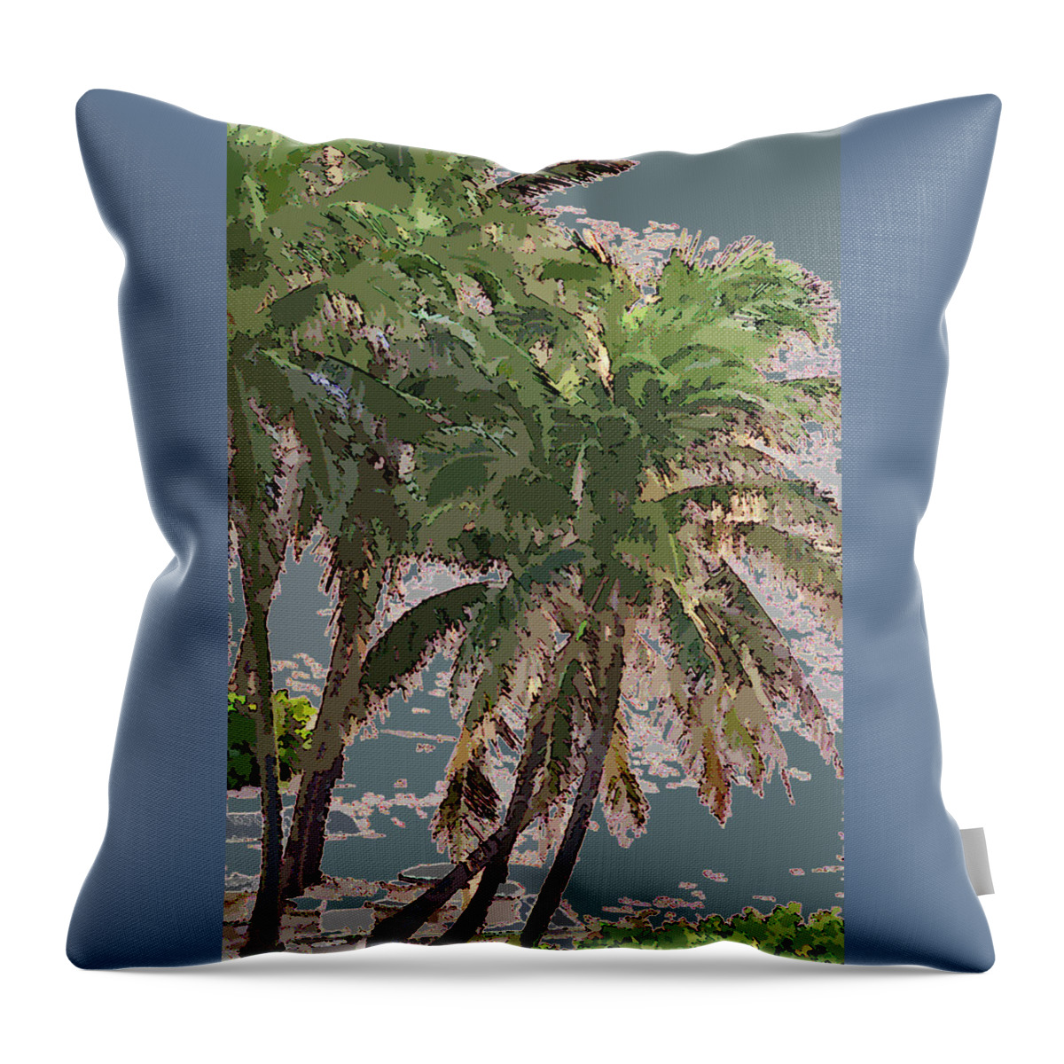 Palm Throw Pillow featuring the photograph Florida Palm Trees by Corinne Carroll