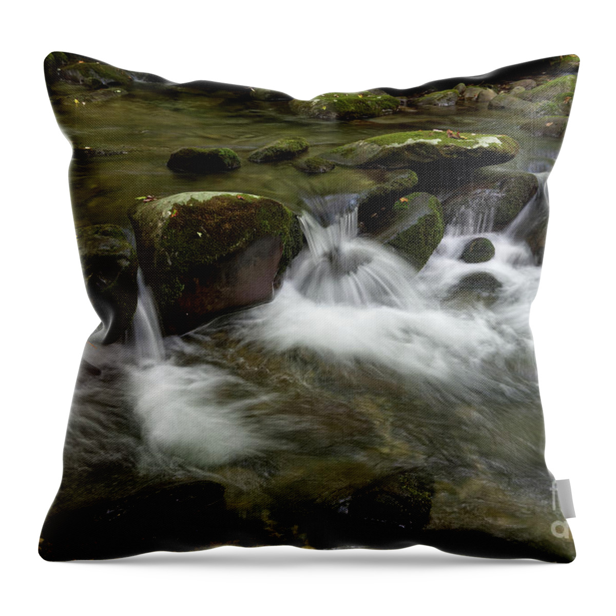 Smokies Throw Pillow featuring the photograph Flow of Water by Phil Perkins
