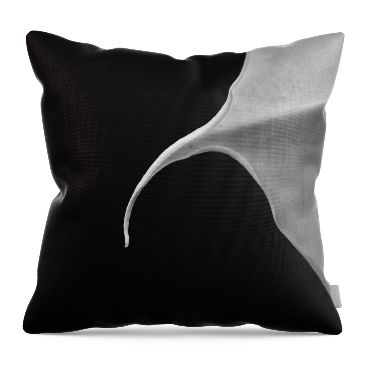 Flower Throw Pillow featuring the photograph Flower Abstract by Crystal Wightman