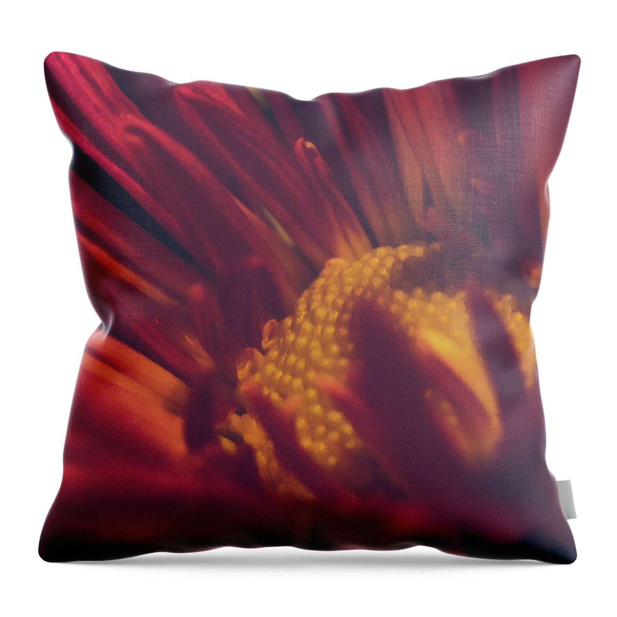 Flower Throw Pillow featuring the pyrography Flower by Anamar Pictures