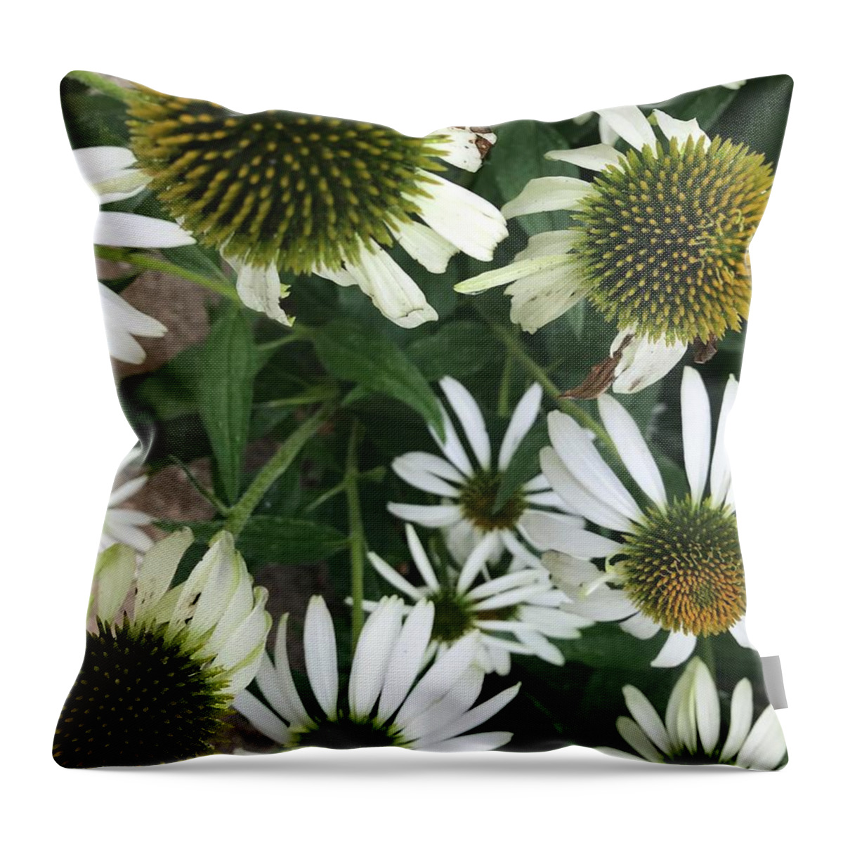 Flowers Throw Pillow featuring the photograph Flower balls by Jean Wolfrum