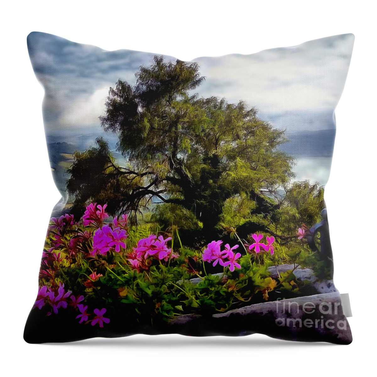 Umbria Throw Pillow featuring the photograph Flower Box Over Umbria by Sea Change Vibes