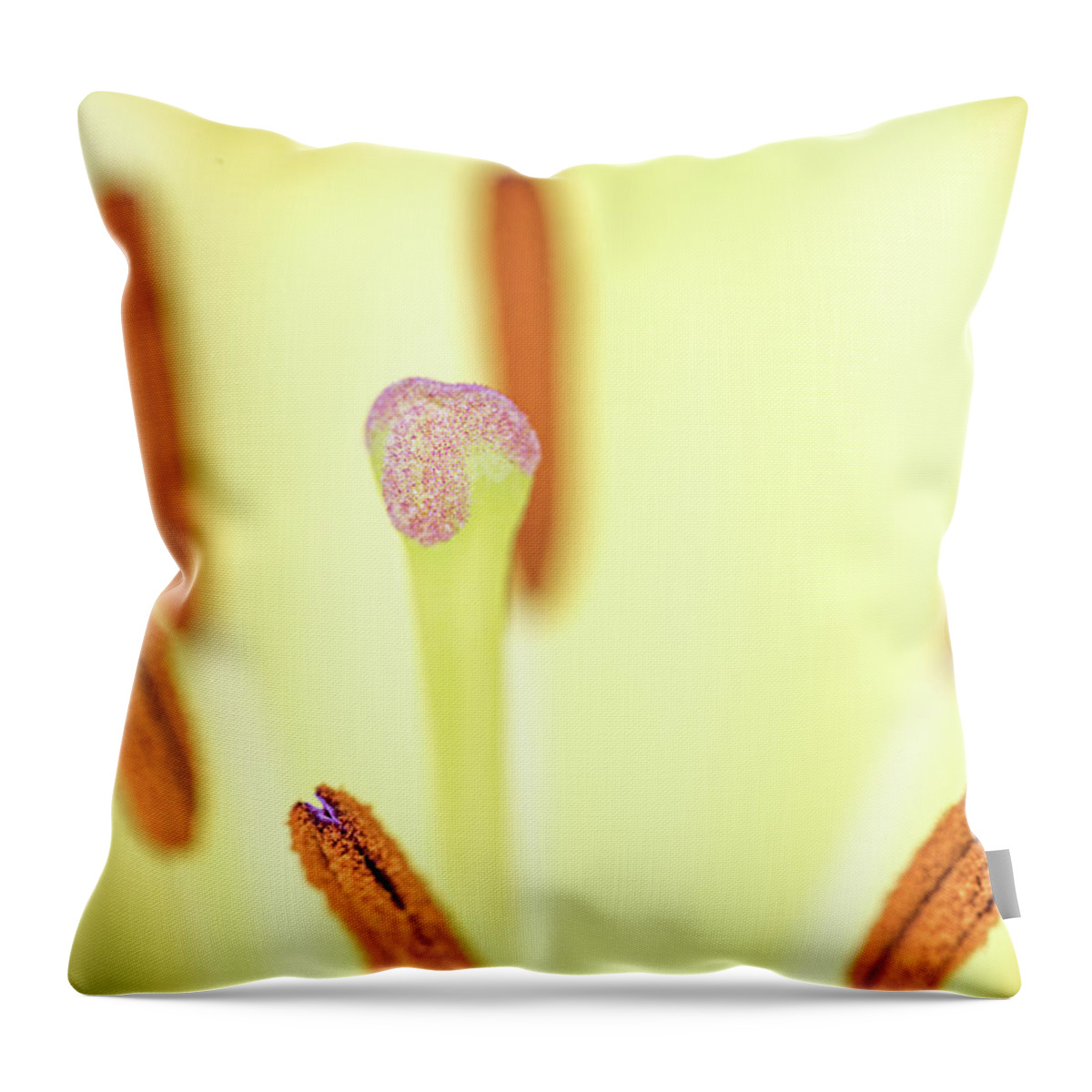 Flower Throw Pillow featuring the photograph Flower Close Up by Amelia Pearn