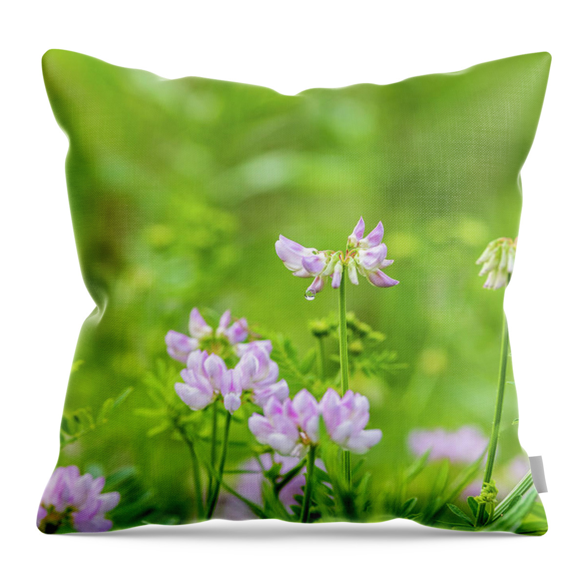Flower Throw Pillow featuring the photograph Flower Photography - Spring Field by Amelia Pearn