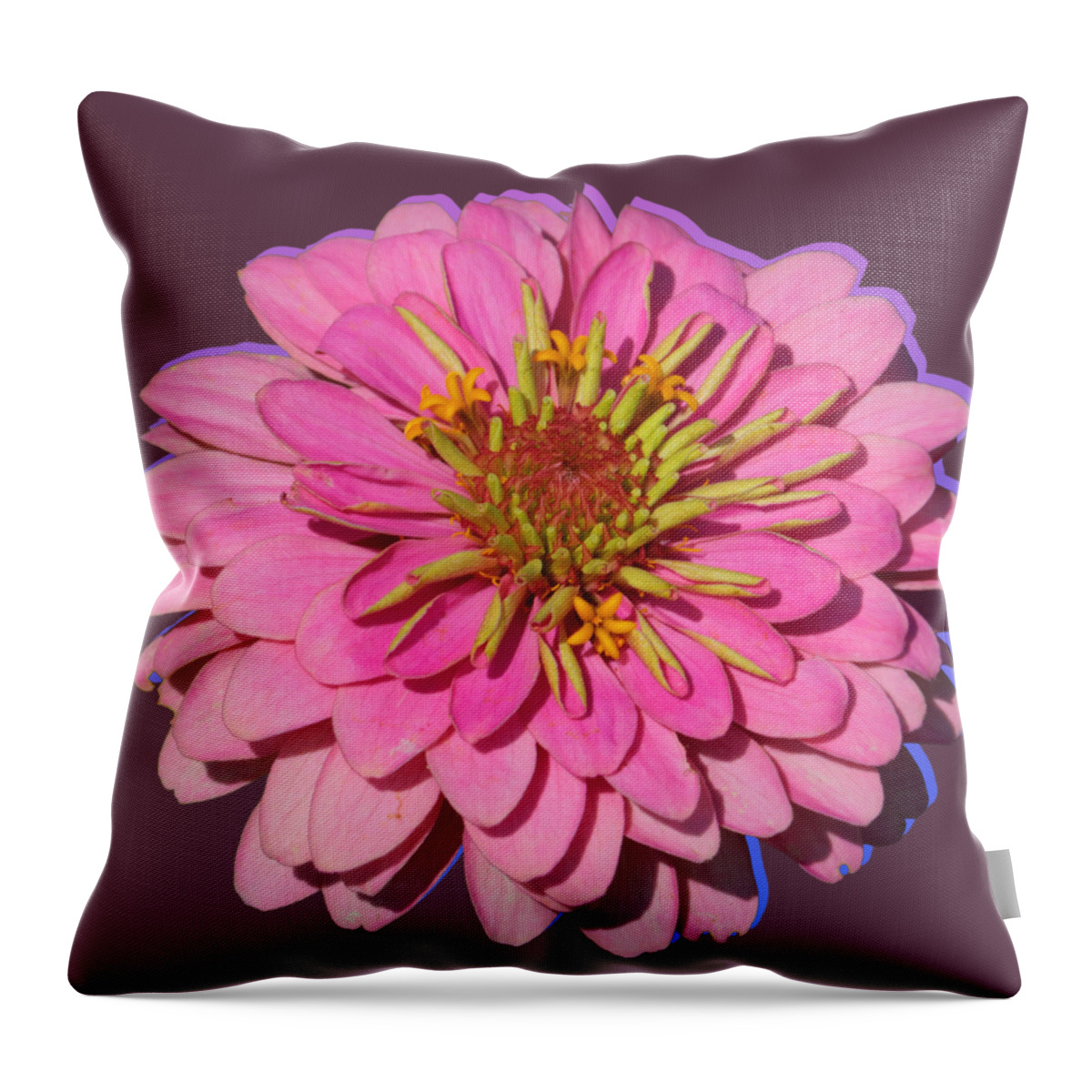 Pink Zinnia Throw Pillow featuring the photograph Flower Power - Pink Zinnia by Carol Groenen