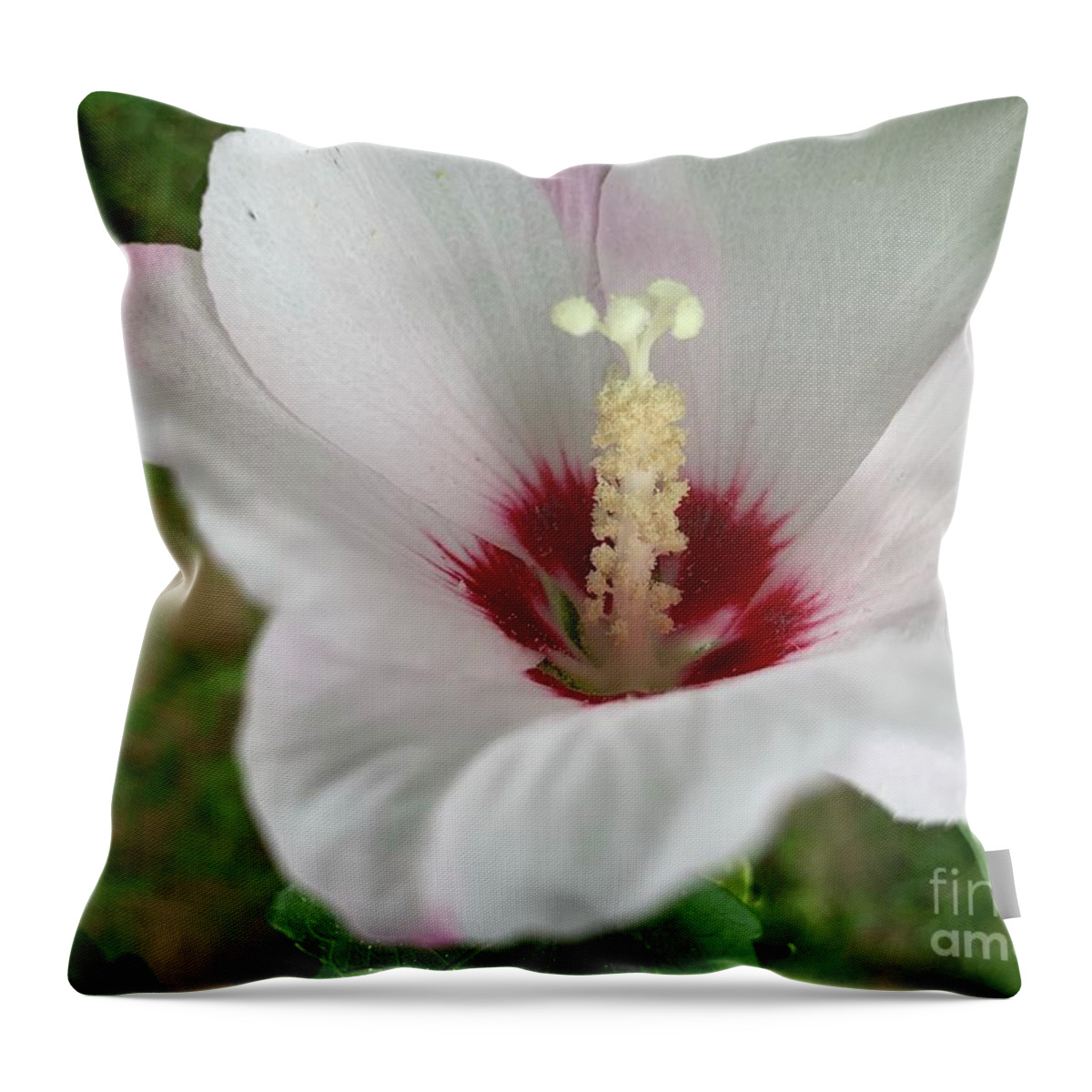 Flowers Throw Pillow featuring the photograph Flower Up Rose of Sharon by Catherine Wilson
