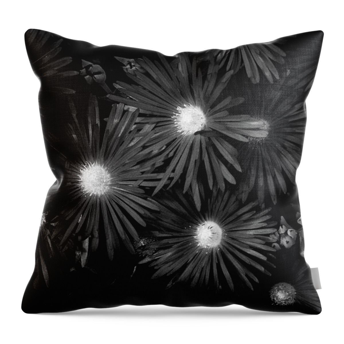 Background Throw Pillow featuring the photograph Flower w/ Buds by Mike Fusaro