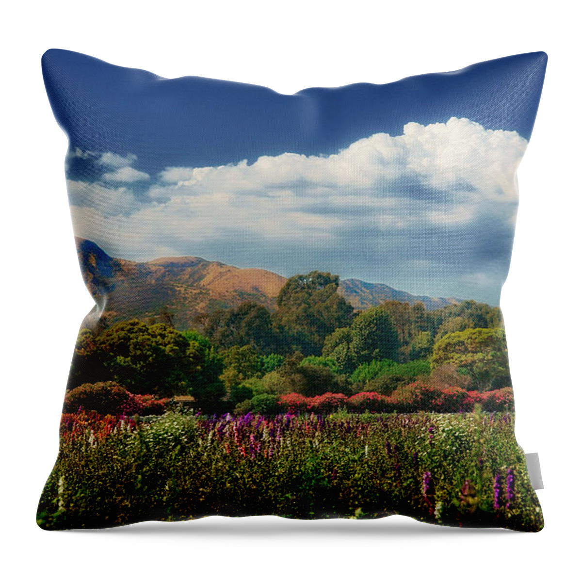 Two Trees Throw Pillow featuring the photograph Ventura California Two Trees by John A Rodriguez