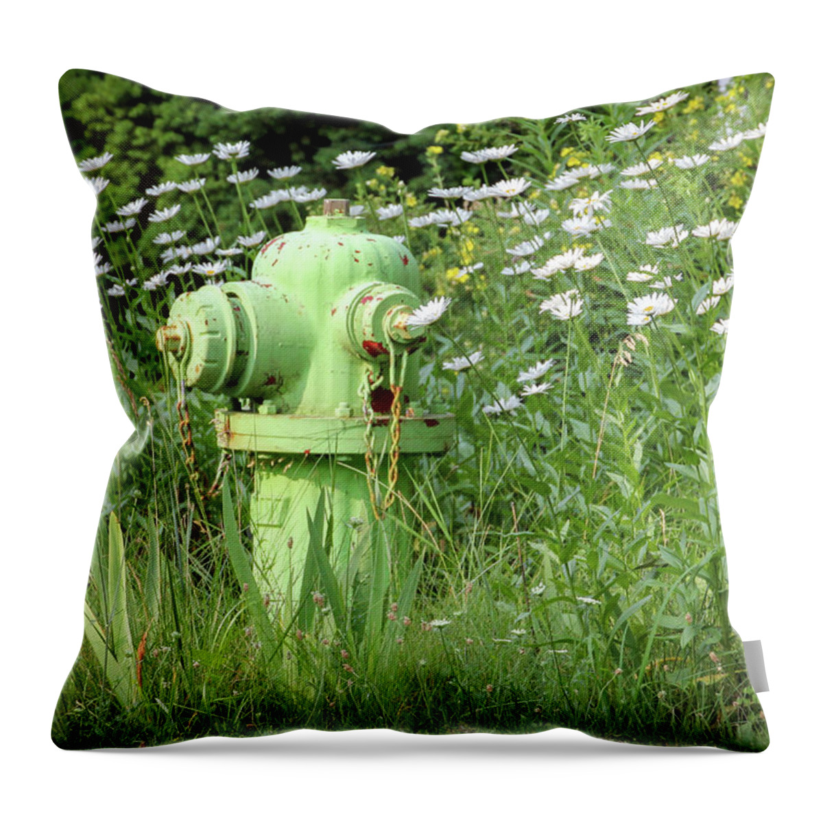 Bay View Throw Pillow featuring the photograph Flowers Around the Fire Hydrant by Robert Carter
