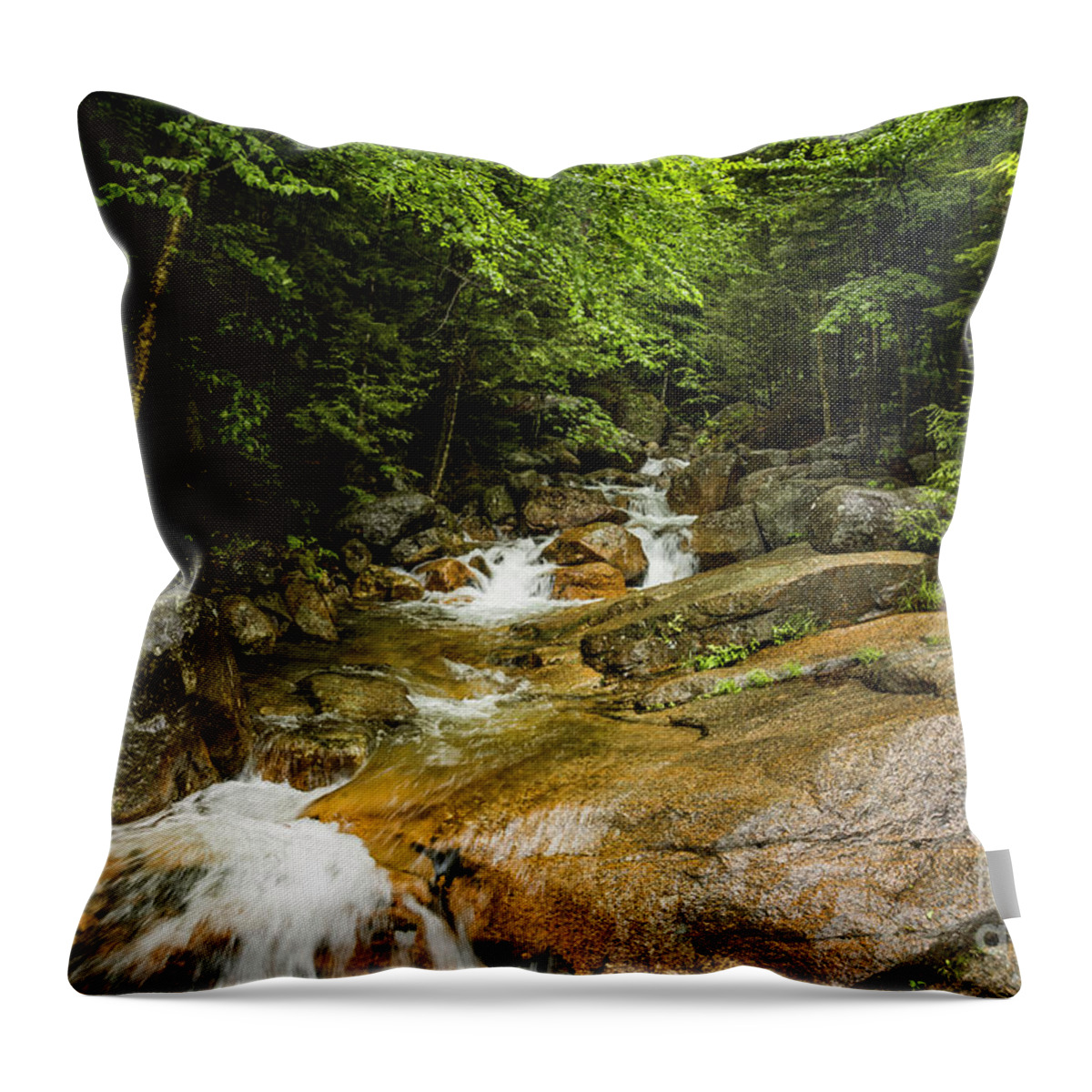 Flowing Throw Pillow featuring the photograph Flume Stream by Alana Ranney