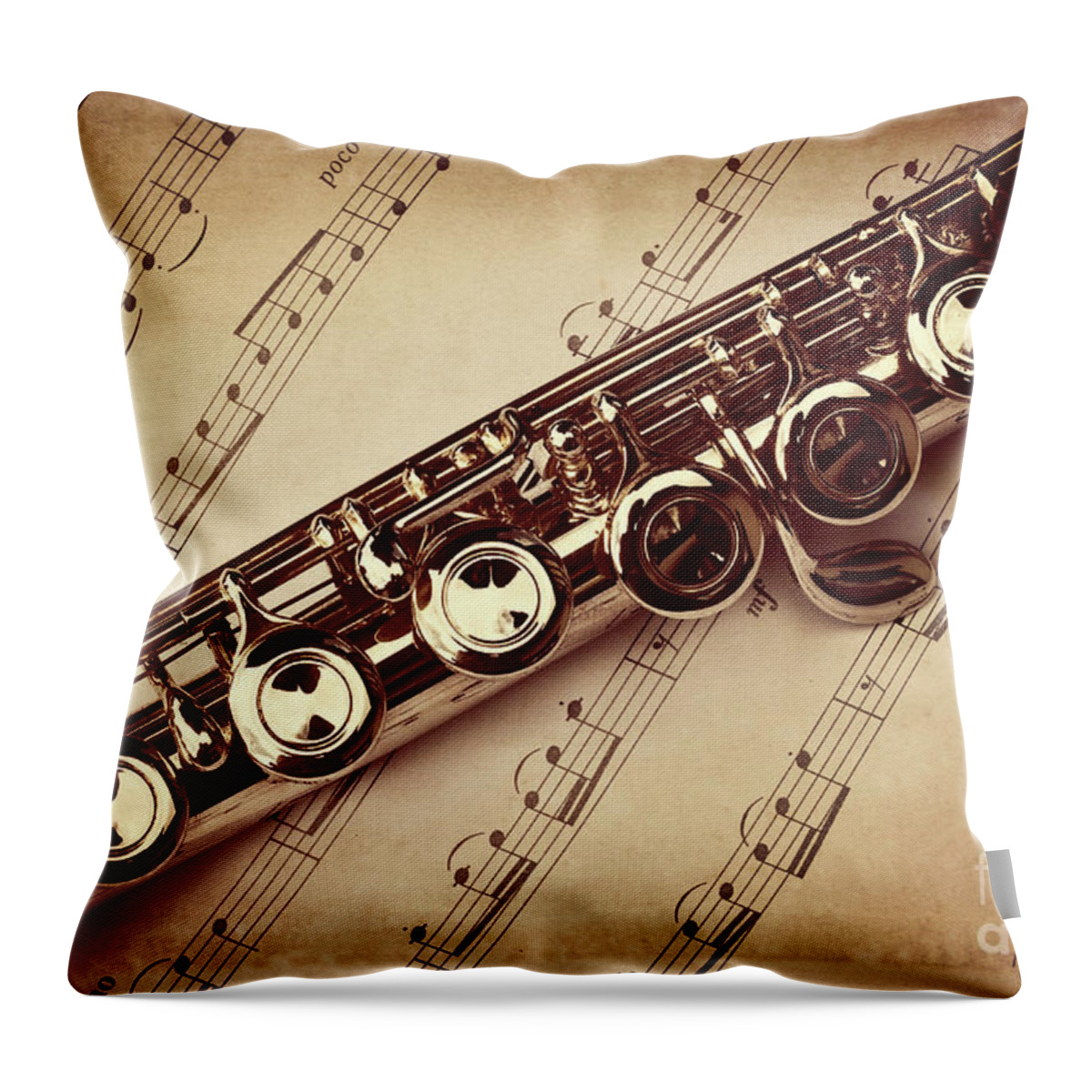 Flute Throw Pillow featuring the photograph Flute vintage style by Delphimages Photo Creations