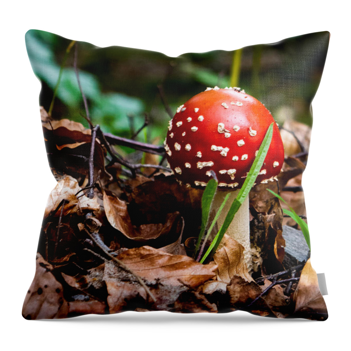 Fly Agaric Throw Pillow featuring the photograph Fly Agaric by Bonny Puckett