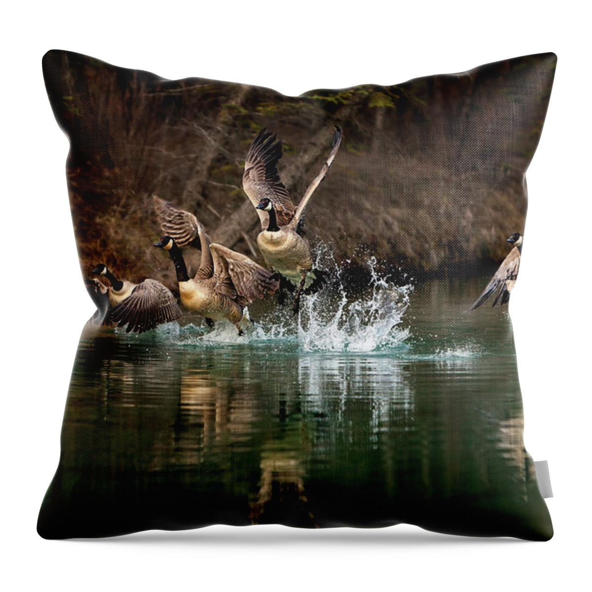 Canada Throw Pillow featuring the photograph Fly Away Home by Gary Johnson