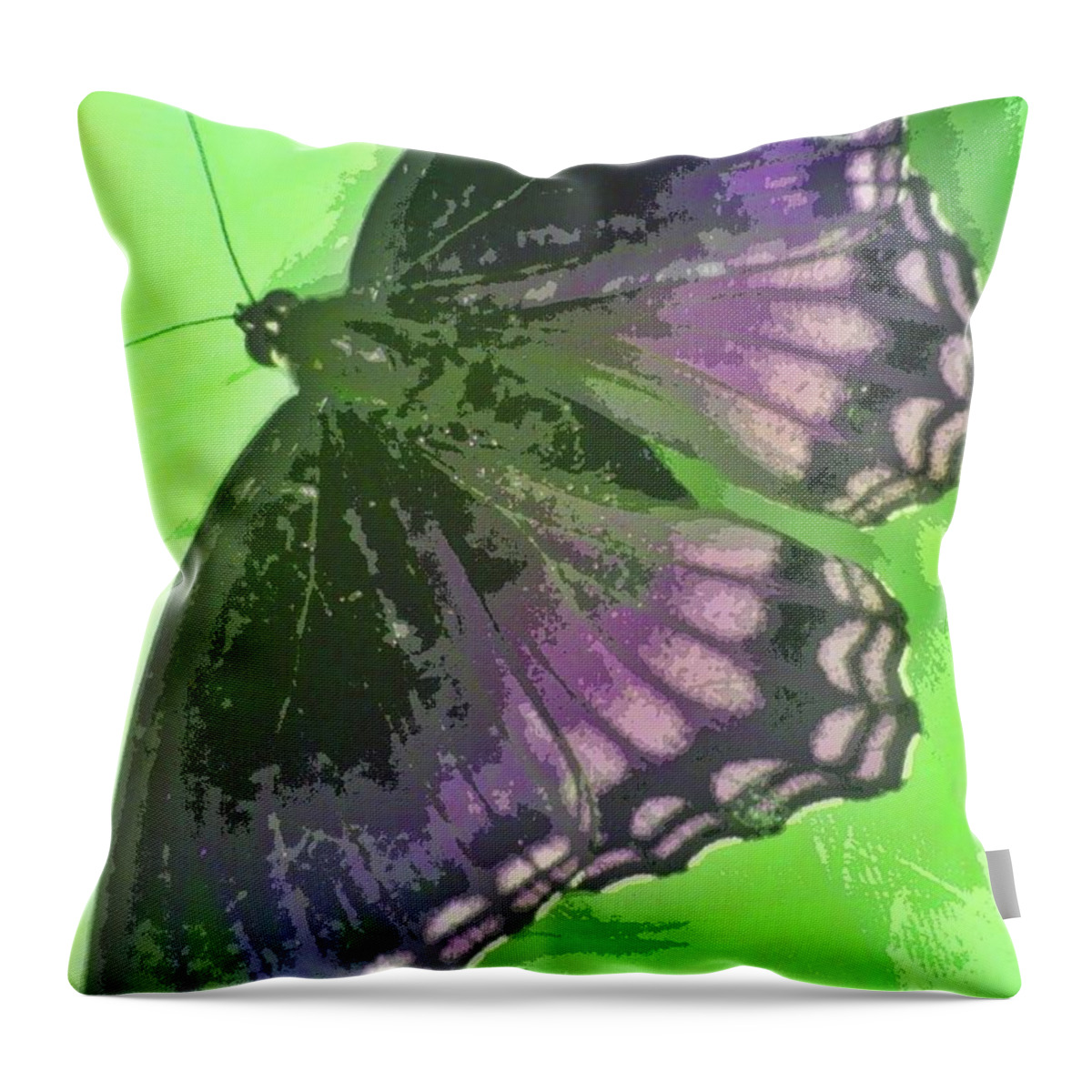 Butterfly Throw Pillow featuring the photograph Fly When Ready by Andy Rhodes