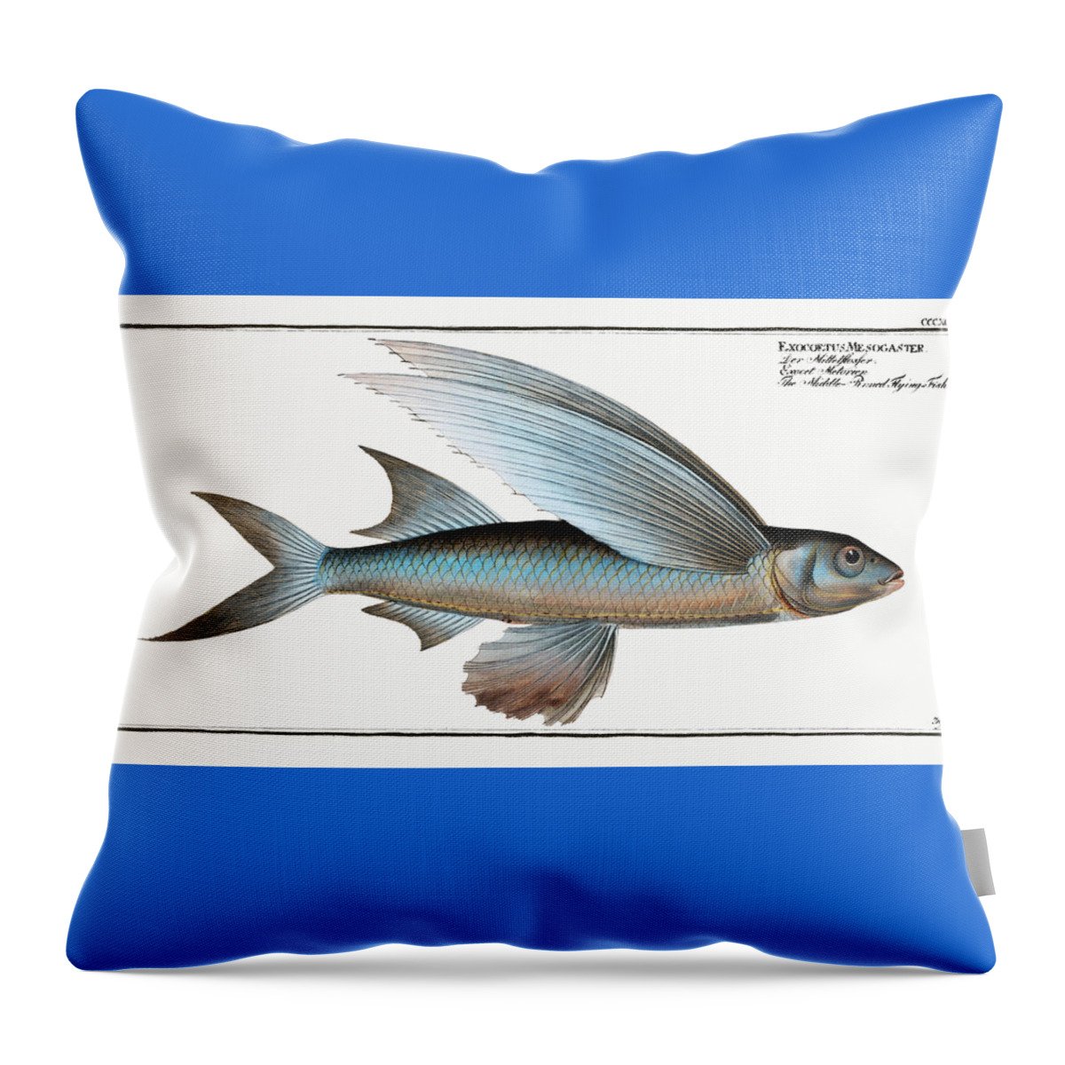 Flying Fish Throw Pillow featuring the mixed media Flying Fish by World Art Collective