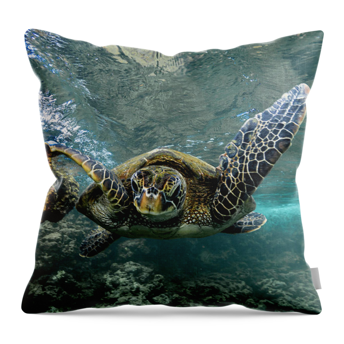 Hawaiian Green Sea Turtle Hawaii Ocean Throw Pillow featuring the photograph Flying Turtle by Leonardo Dale