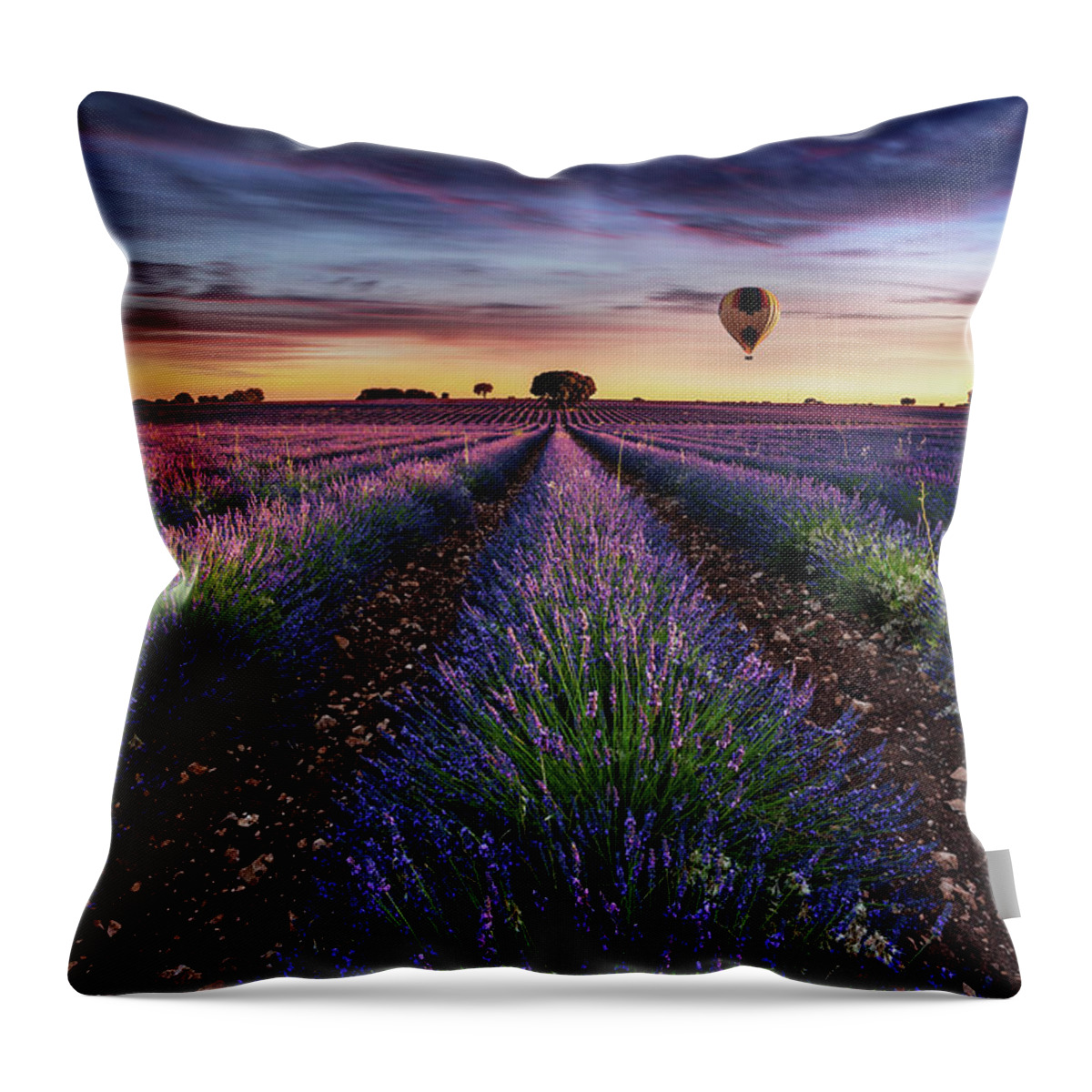 Lavender Throw Pillow featuring the photograph Flying without wings by Jorge Maia