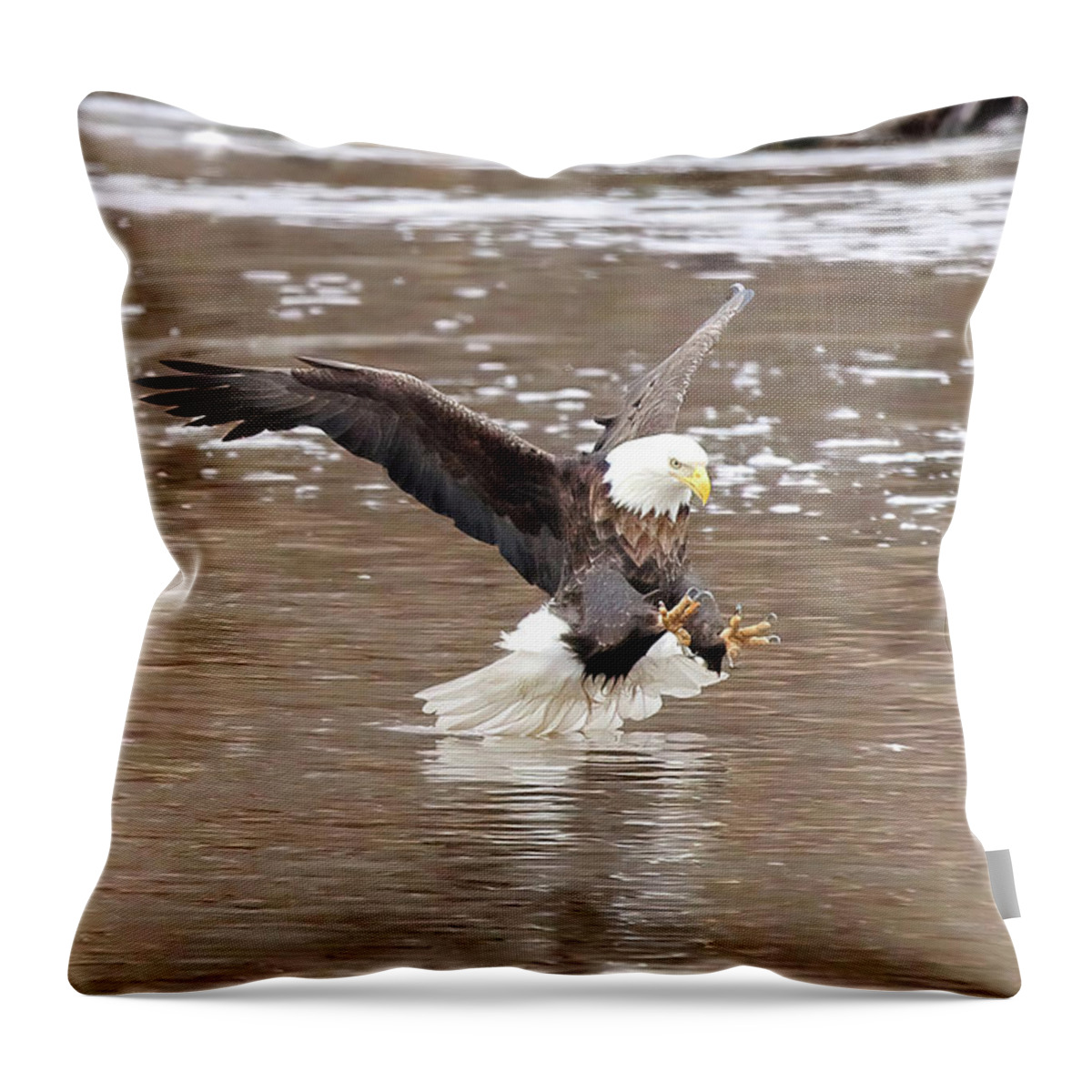 Bird Throw Pillow featuring the photograph Focus by Lens Art Photography By Larry Trager